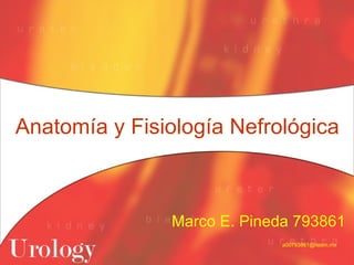 Anatomía y Fisiología Nefrológica Marco E. Pineda 793861   [email_address] 