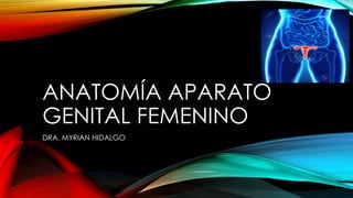 ANATOMÍA APARATO
GENITAL FEMENINO
DRA. MYRIAN HIDALGO
 