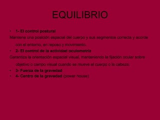 EQUILIBRIO 1- El control postural  Mantiene una posición espacial del cuerpo y sus segmentos correcta y acorde con el entorno, en reposo y movimiento.   2- El control de la actividad oculomotriz Garantiza la orientación espacial visual, manteniendo la fijación ocular sobre objetivo o campo visual cuando se mueve el cuerpo o la cabeza.   3- Fuerza de la gravedad 4- Centro de la gravedad  (power house)  