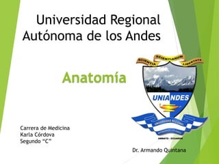 Anatomía
Universidad Regional
Autónoma de los Andes
Carrera de Medicina
Karla Córdova
Segundo “C”
Dr. Armando Quintana
 
