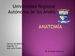Universidad Regional
Autónoma de los Andes
Carrera de Medicina
Segundo “A”
Ana Lucia Proaño
Dr. Armando Quintana
 