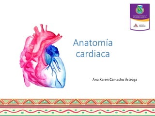 Anatomía
cardiaca
Ana Karen Camacho Arteaga
 