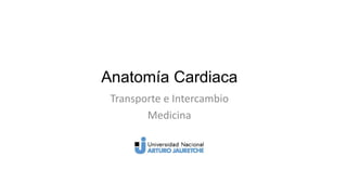 Anatomía Cardiaca
Transporte e Intercambio
Medicina
 