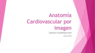 Anatomía
Cardiovascular por
imagen
Capítulo 2 Guadalajara Boo
Luisa Orta
 