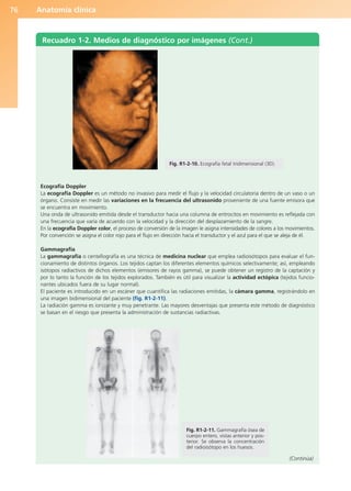 Anatomía clínica
76
Recuadro 1-2. Medios de diagnóstico por imágenes (Cont.)
Ecografía Doppler
La ecografía Doppler es un método no invasivo para medir el flujo y la velocidad circulatoria dentro de un vaso o un
órgano. Consiste en medir las variaciones en la frecuencia del ultrasonido proveniente de una fuente emisora que
se encuentra en movimiento.
Una onda de ultrasonido emitida desde el transductor hacia una columna de eritrocitos en movimiento es reflejada con
una frecuencia que varía de acuerdo con la velocidad y la dirección del desplazamiento de la sangre.
En la ecografía Doppler color, el proceso de conversión de la imagen le asigna intensidades de colores a los movimientos.
Por convención se asigna el color rojo para el flujo en dirección hacia el transductor y el azul para el que se aleja de él.
Gammagrafía
La gammagrafía o centellografía es una técnica de medicina nuclear que emplea radioisótopos para evaluar el fun-
cionamiento de distintos órganos. Los tejidos captan los diferentes elementos químicos selectivamente; así, empleando
isótopos radiactivos de dichos elementos (emisores de rayos gamma), se puede obtener un registro de la captación y
por lo tanto la función de los tejidos explorados. También es útil para visualizar la actividad ectópica (tejidos funcio-
nantes ubicados fuera de su lugar normal).
El paciente es introducido en un escáner que cuantifica las radiaciones emitidas, la cámara gamma, registrándolo en
una imagen bidimensional del paciente (fig. R1-2-11).
La radiación gamma es ionizante y muy penetrante. Las mayores desventajas que presenta este método de diagnóstico
se basan en el riesgo que presenta la administración de sustancias radiactivas.
Fig. R1-2-10. Ecografía fetal tridimensional (3D).
(Continúa)
Fig. R1-2-11. Gammagrafía ósea de
cuerpo entero, vistas anterior y pos-
terior. Se observa la concentración
del radioisótopo en los huesos.
b027-01.qxd 7/14/11 12:50 PM Page 76
ERRNVPHGLFRVRUJ
 
