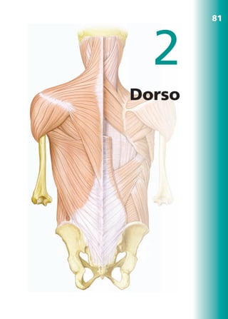 2
Dorso
81
b027-02.qxd 8/4/11 2:29 PM Page 81
ERRNVPHGLFRVRUJ
 