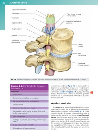 pertenece esa vértebra (fig. 2-10). A continuación se
describen las características típicas de las vértebras cervi-
cales, las torácicas y las lumbares con sus principales par-
ticularidades (cuadro sinóptico 2-1). Luego, el sacro y
el cóccix. En cada región también se describen aparte las
vértebras que no cumplen con la totalidad de las carac-
terísticas comunes.
Vértebras cervicales
El cuerpo de las vértebras cervicales tiene un diáme-
tro transversal mayor que el diámetro anteroposterior y
presenta algunos detalles distintivos (fig. 2-11). En los
extremos laterales de su cara intervertebral superior se
encuentran dos pequeñas eminencias, las apófisis unci-
formes (con forma de gancho), que están dispuestas
como una elevación semilunar de los bordes laterales. En
los extremos laterales de la cara inferior del cuerpo, hay
dos pequeñas escotaduras que sirven para la articulación
con las apófisis unciformes de la vértebra subyacente.
Estas escotaduras laterales le dan a esta cara una forma
convexa.
Anatomía clínica
92
Plexo venoso vertebral
interno anterior
Ligamento longitudinal
posterior
Cuerpo
vertebral
Disco
intervertebral
Escotadura
vertebral superior
Aracnoides
Duramadre
Espacio epidural
Ganglio espinal
Pedículo
Articulación
cigapofisaria
Espacio subaracnoideo
Fig. 2-9. Tercera y cuarta vértebras lumbares articuladas, vistas desde la derecha. Se ve el foramen intervertebral con sus límites.
Cuadro 2-3. Contenido del foramen
intervertebral
Contenido
Nervio espinal
Raíz anterior (ventral) del nervio espinal
Raíz posterior (dorsal) del nervio espinal
Ganglio espinal
Ramo meníngeo del nervio espinal
Rama espinal (de las arterias vertebral, intercostal,
lumbar o sacra lateral)
Vena intervertebral
Meninges (duramadre, aracnoides y piamadre espi-
nales)
Receso subaracnoideo con LCR
Tejido adiposo del espacio epidural
b027-02.qxd 7/12/11 8:38 AM Page 92
ERRNVPHGLFRVRUJ
 
