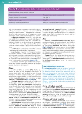 Anatomía clínica
94
cada foramen transverso pasa la arteria vertebral, acom-
pañada por las venas vertebrales y el nervio vertebral
[nervio de François-Franck]. Las excepciones correspon-
den a los forámenes transversos de la séptima vértebra
cervical por donde habitualmente no pasan las arterias.
Las apófisis articulares se ubican a cada lado del
arco vertebral y en la columna articulada están dispues-
tas exactamente una encima de la otra. Sus carillas arti-
culares, orientadas en un plano oblicuo de aproximada-
mente 45°, miran hacia atrás y arriba en las apófisis
superiores y hacia adelante y abajo en las apófisis infe-
riores.
Las láminas son cuadriláteras, más anchas que altas
y orientadas oblicuamente hacia abajo y atrás.
Los pedículos se implantan en el cuerpo vertebral en
un punto más cercano a su cara superior que a la inferior.
Las escotaduras vertebrales inferiores son algo más profun-
das que las superiores. La corta distancia entre el cuerpo y
las apófisis articulares determina que a este nivel los forá-
menes intervertebrales sean estrechos (cuadro 2-4).
Las vértebras cervicales, que se diferencian por pre-
sentar características individuales diferentes de las gene-
rales, se describen a continuación.
Atlas
La primera vértebra cervical (C1), el atlas (su
nombre se refiere al titán mitológico que sostenía la
bóveda celeste sobre sus hombros), es una vértebra
incompleta: no tiene cuerpo vertebral, ese lugar está
ocupado por el diente del axis. El atlas está constituido
por dos masas laterales, unidas entre sí por un arco
anterior y un arco posterior (fig. 2-12A y B).
Cada masa lateral tiene la forma de un segmento de
cilindro elíptico colocado verticalmente. En su cara supe-
rior presenta la carilla articular superior, cóncava y de
forma elipsoide. Esta carilla se articula con el cóndilo del
occipital y su diámetro mayor es oblicuo hacia adelante y
medial. En la cara inferior de cada masa lateral hay una
carilla articular inferior, plana, para el axis. De la cara
lateral de la masa lateral nace la apófisis transversa, que
es más larga que la de las otras vértebras cervicales.
En la línea media de la cara posterior del arco ante-
rior del atlas hay una fosita para el diente del axis.
En la cara anterior se encuentra una pequeña eminencia
central, el tubérculo anterior del atlas.
El arco posterior presenta, en su parte posterior y
en la línea media, una eminencia mamelonada que se
denomina tubérculo posterior del atlas. En la cara
superior del extremo lateral del arco posterior se ve el
surco de la arteria vertebral. Este surco es recorrido
por la arteria vertebral luego de que atraviesa el foramen
transverso del lado correspondiente y rodea la masa late-
ral por detrás. El primer nervio cervical también pasa por
detrás de la masa lateral.
Axis
El axis es la segunda vértebra cervical (C2) y su
nombre significa eje. Tiene una eminencia vertical que se
dirige hacia arriba desde el extremo superior de su cuer-
po, denominada diente del axis [apófisis odontoides]
(fig. 2-12C y D). En su extremo superior presenta el vér-
tice del diente. En su cara anterior se encuentra la cari-
lla articular anterior, para articularse con el arco anterior
del atlas, y en su cara posterior, la carilla articular poste-
rior, para el ligamento transverso.
El axis presenta dos carillas articulares superiores,
para el atlas, y dos carillas inferiores, para la tercera vér-
tebra cervical. La apófisis espinosa es ancha y corta.
Las apófisis transversas son cortas y su extremo no
está dividido.
Fractura del diente del axis
Una hiperextensión forzada de la cabeza, producida
por una caída o un accidente de tránsito puede provo-
car el desplazamiento del atlas con respecto al axis. El
ligamento transverso del atlas tiene mayor resistencia
que el diente del axis y éste puede fracturarse cerca de
su base. En estos casos el diente queda sin su vasculari-
zación y se mantiene separado del cuerpo del axis por el
ligamento transverso, dificultando la resolución de la
fractura y evolucionando hacia una necrosis avascular
del diente del axis.
Sexta vértebra cervical
La sexta vértebra cervical (C6) se caracteriza por el
mayor desarrollo del tubérculo anterior de su apófisis
transversa, que debido a su importancia como punto
de referencia para la compresión de la arteria carótida
común durante una cirugía, ha recibido el nombre de
tubérculo carotídeo [tubérculo de Chassaignac].
Séptima vértebra cervical
La séptima vértebra cervical (C7), es una vértebra
de transición, y tiene algunas características que la ase-
mejan a las vértebras torácicas (fig. 2-13). El extremo de
la apófisis espinosa es indiviso y de notable longitud,
por esto se la llama vértebra prominente. Las apófisis
Cuadro 2-4. Características de las vértebras cervicales (CIII a CVII)
Foramen vertebral amplio de forma triangular
Foramen transverso Pasa la arteria vertebral, excepto en C7
Apófisis espinosa corta y dividida De C3 a C5
Apófisis espinosa larga C6 y C7
Forámenes intervertebrales estrechos Riesgo de compresión de los nervios espinales
b027-02.qxd 7/12/11 8:38 AM Page 94
ERRNVPHGLFRVRUJ
 