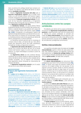 tiene una lámina de cartílago donde hace contacto con
el diente. Por delante y por detrás del diente se ubican
sendas cavidades sinoviales.
Desde el ligamento transverso del atlas sale un
fascículo longitudinal superior que se dirige hacia
arriba y se une al borde anterior del foramen magno.
Uniendo el ligamento transverso con el cuerpo del axis
se encuentra el fascículo longitudinal inferior. El con-
junto de los fascículos longitudinales y el ligamento
transverso tiene la forma de una cruz fibrosa y se deno-
mina ligamento cruciforme del atlas.
La membrana tectoria, una gruesa lámina fibrosa
longitudinal ubicada en el límite anterior del conducto ver-
tebral, se extiende desde la cara posterior del cuerpo del
axis hasta el borde anterior del foramen magno (véase
fig. 2-24C). Corresponde a la prolongación superior del
ligamento longitudinal posterior, que de esta forma se con-
tinúa hasta entrar en contacto con la duramadre craneal.
La membrana tectoria cubre el axis pasando por detrás del
diente y del ligamento cruciforme del atlas.
La membrana tectoria permite que se mantenga el
contacto entre el atlas y el diente del axis. Este último
puede girar libremente dentro del anillo osteofibroso
formado por el atlas y el ligamento transverso.
El ligamento del vértice del diente [suspensor del
diente] une el vértice del diente del axis con el borde
anterior del foramen magno. Es corto y de escasa con-
sistencia. Su origen embriológico se produce a partir de
la notocorda.
Los ligamentos alares son dos cordones fibrosos
resistentes que se dirigen desde las regiones laterales del
vértice del diente del axis hasta las caras mediales de los
cóndilos occipitales, con un trayecto casi horizontal.
Estos ligamentos actúan limitando los movimientos de
rotación del diente.
El ligamento longitudinal anterior une el cuerpo
del axis con la cara inferior del occipital.
Rotura del ligamento transverso del
atlas
Un golpe en la cabeza desde atrás y con dirección
horizontal produce su desplazamiento hacia adelante. La
columna cervical acompaña esta situación con un movi-
miento de flexión. Si con el movimiento brusco del atlas
hacia adelante, se rompe el ligamento transverso del
atlas, se produce una subluxación atlantoaxoidea. Esa
ruptura puede deberse a la debilidad de los ligamentos
producidas por patologías del tejido conectivo.
Luxación del diente del axis
La rotura del ligamento transverso del atlas provo-
ca que se luxe la articulación atlantoaxoidea media. Si se
produce una luxación completa por rotura conjunta de
los otros ligamentos, el atlas se puede desplazar amplia-
mente hacia adelante y el extremo superior de la médu-
la espinal puede quedar comprimido entre el arco pos-
terior del atlas y el diente del axis produciendo la paráli-
sis de los cuatro miembros (cuadriplejía). Si la compre-
sión se produjera más arriba y afectase la médula
oblongada, causaría la muerte inmediata del paciente.
El diente del axis ocupa aproximadamente un tercio
del diámetro del atlas, otro tercio es ocupado por la
médula espinal y el tercio restante les corresponde a los
espacios epidural y subaracnoideo. Por este motivo la
luxación atlantoaxoidea puede no presentar síntomas
en un primer momento, pero con los movimientos del
paciente se puede producir la movilización del diente del
axis hacia atrás y comprimir la médula espinal.
Articulaciones entre los cuerpos
vertebrales
Por delante y por detrás de los cuerpos vertebrales se
encuentran los ligamentos longitudinales anterior y
posterior, respectivamente, que unen los cuerpos entre
sí. Además los cuerpos vertebrales se articulan por
medio del disco intervertebral, fibrocartilaginoso, que
se encuentra interpuesto entre ellos. Estas últimas articu-
laciones pertenecen al grupo de las sínfisis, dentro de
las articulaciones cartilaginosas (sincondrosis).
Sínfisis intervertebrales
Las superficies articulares están formadas por las caras
intervertebrales superior e inferior de cada cuerpo verte-
bral. Esta superficie presenta una depresión central que
está cubierta por una lámina de cartílago hialino [lámi-
na terminal]. En el borde sobreelevado de esta superficie se
ubica la epífisis anular, de tejido óseo compacto.
Disco intervertebral
Los discos intervertebrales son estructuras fibro-
cartilaginosas que tienen forma de lente biconvexa (fig.
2-27). Su grosor varía según los distintos niveles de la
columna, en la región lumbar son más gruesos. En las
regiones cervical y lumbar, donde la columna presenta
lordosis, el grosor del disco es algo mayor en su parte
anterior, mientras que en la columna torácica, donde la
columna presenta cifosis, es más grueso en su extremo
posterior. Las curvaturas de la columna no se deben sólo
a la forma de los discos, también son resultado de la
forma de las vértebras.
Cada disco intervertebral está compuesto por una
porción periférica, el anillo fibroso, y otra central, el
núcleo pulposo.
La parte más externa del anillo fibroso está cons-
tituido por láminas concéntricas, dispuestas verticalmen-
te, de tejido conectivo fibroso. Las fibras de colágeno en
cada lámina son paralelas entre sí y se disponen en direc-
ción oblicua. Estas fibras se extienden entre las superfi-
cies articulares de los cuerpos vertebrales. Entre una
lámina y la inmediata siguiente se oponen las direcciones
oblicuas de las fibras. La parte más interna del anillo
fibroso, la más cercana al núcleo pulposo, está formada
por fibrocartílago. La elasticidad del anillo fibroso va dis-
minuyendo durante el curso de la vida.
El núcleo pulposo forma el centro blando, gelati-
noso, del disco intervertebral. Es un derivado de la
notocorda embrionaria y tiene una gran capacidad de
retención de agua. La sustancia fundamental que lo
Anatomía clínica
104
b027-02.qxd 7/12/11 8:38 AM Page 104
ERRNVPHGLFRVRUJ
 