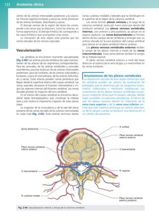 vienen de las arterias intercostales posteriores y la subcos-
tal. Para las regiones lumbares y sacras las ramas provienen
de las arterias lumbares, iliolumbares y sacras.
El drenaje venoso de la región del dorso les corres-
ponde a las venas que se disponen, como las arterias, en
forma segmentaria. El drenaje linfático les corresponde a
los vasos linfáticos que acompañan a las venas.
La inervación de esta región está provista por los
ramos dorsales de los nervios espinales.
Vascularización
Las vértebras se encuentran ricamente vascularizadas
(fig. 2-44). Las arterias para las vértebras de cada nivel pro-
vienen de las arterias de los segmentos correspondientes.
Para las cervicales, de las arterias vertebrales y cervicales
ascendentes; para las torácicas, de las arterias intercostales
posteriores; para las lumbares, de las arterias subcostales y
lumbares, y para el nivel pelviano, de las arterias iliolumba-
res y sacras. Estas arterias proveen ramas periósticas que
llegan desde la superficie externa del cuerpo vertebral. Las
ramas espinales atraviesan el foramen intervertebral e irri-
gan las regiones internas del foramen vertebral. Las ramas
dorsales proveen la irrigación del arco vertebral.
En el interior del cuerpo vertebral se encuentra abun-
dante tejido hematopoyético que constituye la médula
ósea y eso motiva la importante irrigación de estas piezas
óseas.
La irrigación de la musculatura y de la piel del dorso
proviene de las ramas dorsales de las arterias mencionadas
en cada nivel (fig. 2-45). Estas arterias terminan dando
ramas cutáneas mediales y laterales que se distribuyen en
la superficie de la región de la columna vertebral.
Las venas forman plexos venosos a lo largo de la
columna vertebral, tanto por fuera como por dentro del
conducto vertebral. Los plexos venosos vertebrales
internos, uno anterior y otro posterior, se ubican en el
espacio epidural. Las venas basivertebrales se forman
dentro de los cuerpos de las vértebras y emergen por un
orificio ubicado en la cara posterior del cuerpo vertebral
para drenar en el plexo vertebral interno anterior.
Los plexos venosos vertebrales externos reciben
la sangre de los plexos internos a través de las venas
intervertebrales. Estas venas drenan también la sangre
de la médula espinal.
El plexo venoso vertebral externo a nivel del tórax
drena en el sistema de la vena ácigos y a nivel lumbar en
las venas lumbares.
Anastomosis de los plexos vertebrales
La disposición vascular de esta región motiva por qué
las vértebras pueden ser asiento de localización de
patologías que se diseminan por vía sanguínea (osteo-
mielitis, tuberculosis o metástasis neoplásicas). Las
anastomosis de los plexos venosos vertebrales se pro-
ducen mediante venas que no poseen válvulas, dando
lugar a posibles circulaciones paradójicas. El hecho de
que los plexos venosos drenen en tributarias de la
vena cava superior y de la vena cava inferior per-
mite que este sistema constituya un camino alternati-
vo de la sangre cuando se produce una obstrucción o
un cambio de presiones.
Anatomía clínica
122
Aorta abdominal
Plexo venoso vertebral
interno anterior
V. intervertebral
R. cutánea medial
A. lumbar
Plexo venoso vertebral
externo anterior
V. basivertebral
Plexo venoso vertebral
externo posterior
R. espinal
Fig. 2-44. Vascularización arterial y venosa de la columna vertebral.
b027-02.qxd 7/12/11 8:38 AM Page 122
ERRNVPHGLFRVRUJ
 