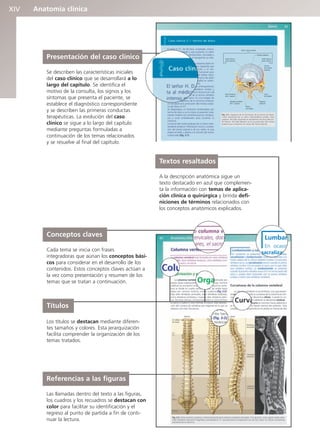 Anatomía clínica
XIV
Referencias a las figuras
Las llamadas dentro del texto a las figuras,
los cuadros y los recuadros se destacan con
color para facilitar su identificación y el
regreso al punto de partida a fin de conti-
nuar la lectura.
Presentación del caso clínico
Se describen las características iniciales
del caso clínico que se desarrollará a lo
largo del capítulo. Se identifica el
motivo de la consulta, los signos y los
síntomas que presenta el paciente, se
establece el diagnóstico correspondiente
y se describen las primeras conductas
terapéuticas. La evolución del caso
clínico se sigue a lo largo del capítulo
mediante preguntas formuladas a
continuación de los temas relacionados
y se resuelve al final del capítulo.
Títulos
Los títulos se destacan mediante diferen-
tes tamaños y colores. Esta jerarquización
facilita comprender la organización de los
temas tratados.
Textos resaltados
A la descripción anatómica sigue un
texto destacado en azul que complemen-
ta la información con temas de aplica-
ción clínica o quirúrgica y brinda defi-
niciones de términos relacionados con
los conceptos anatómicos explicados.
Conceptos claves
Cada tema se inicia con frases
integradoras que aúnan los conceptos bási-
cos para considerar en el desarrollo de los
contenidos. Estos conceptos claves actúan a
la vez como presentación y resumen de los
temas que se tratan a continuación.
b027-pli.qxd 7/20/11 9:33 AM Page XIV
 