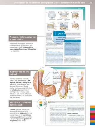 Descripción de los recursos pedagógicos y otras características de la obra XV
Preguntas relacionadas con
el caso clínico
Luego de la descripción anatómica
correspondiente, se introduce una
pregunta vinculada al caso clínico
presentado al comienzo del capítulo
y su respuesta.
Ilustraciones de alta
calidad
El texto, ricamente ilustrado,
cuenta con alrededor de 1.000
figuras, dibujos y fotografías
realizadas especialmente, que
destacan de manera clara y
precisa los conceptos anatómicos.
La señalización identifica en
forma práctica y exacta cada
estructura. Las figuras reflejan la
anatomía normal y las variaciones
más frecuentes.
Vínculos al contenido
del sitio web
El ícono indica el vínculo con
el material complementario,
accesible en el sitio web. En este
caso se trata de un ejercicio de
autoevaluación (icono amarillo)
y de una figura en la galería de
imágenes (icono verde).
b027-pli.qxd 7/20/11 9:33 AM Page XV
 