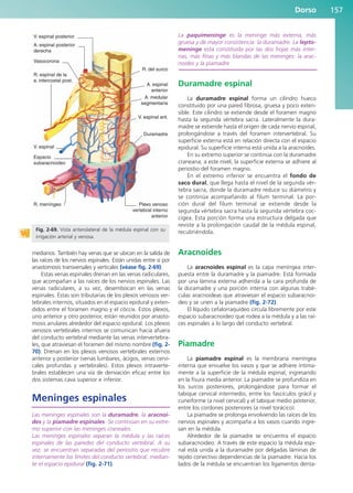 Dorso 157
medianos. También hay venas que se ubican en la salida de
las raíces de los nervios espinales. Están unidas entre sí por
anastomosis transversales y verticales (véase fig. 2-69).
Estas venas espinales drenan en las venas radiculares,
que acompañan a las raíces de los nervios espinales. Las
venas radiculares, a su vez, desembocan en las venas
espinales. Éstas son tributarias de los plexos venosos ver-
tebrales internos, situados en el espacio epidural y exten-
didos entre el foramen magno y el cóccix. Estos plexos,
uno anterior y otro posterior, están reunidos por anasto-
mosis anulares alrededor del espacio epidural. Los plexos
venosos vertebrales internos se comunican hacia afuera
del conducto vertebral mediante las venas intervertebra-
les, que atraviesan el foramen del mismo nombre (fig. 2-
70). Drenan en los plexos venosos vertebrales externos
anterior y posterior (venas lumbares, ácigos, venas cervi-
cales profundas y vertebrales). Estos plexos intraverte-
brales establecen una vía de derivación eficaz entre los
dos sistemas cava superior e inferior.
Meninges espinales
Las meninges espinales son la duramadre, la aracnoi-
des y la piamadre espinales. Se continúan en su extre-
mo superior con las meninges craneales.
Las meninges espinales separan la médula y las raíces
espinales de las paredes del conducto vertebral. A su
vez, se encuentran separadas del periostio que recubre
internamente los límites del conducto vertebral, median-
te el espacio epidural (fig. 2-71).
La paquimeninge es la meninge más externa, más
gruesa y de mayor consistencia: la duramadre. La lepto-
meninge está constituida por las dos hojas más inter-
nas, más finas y más blandas de las meninges: la arac-
noides y la piamadre.
Duramadre espinal
La duramadre espinal forma un cilindro hueco
constituido por una pared fibrosa, gruesa y poco exten-
sible. Este cilindro se extiende desde el foramen magno
hasta la segunda vértebra sacra. Lateralmente la dura-
madre se extiende hasta el origen de cada nervio espinal,
prolongándose a través del foramen intervertebral. Su
superficie externa está en relación directa con el espacio
epidural. Su superficie interna está unida a la aracnoides.
En su extremo superior se continúa con la duramadre
craneana; a este nivel, la superficie externa se adhiere al
periostio del foramen magno.
En el extremo inferior se encuentra el fondo de
saco dural, que llega hasta el nivel de la segunda vér-
tebra sacra, donde la duramadre reduce su diámetro y
se continúa acompañando al filum terminal. La por-
ción dural del filum terminal se extiende desde la
segunda vértebra sacra hasta la segunda vértebra coc-
cígea. Esta porción forma una estructura delgada que
reviste a la prolongación caudal de la médula espinal,
recubriéndola.
Aracnoides
La aracnoides espinal es la capa meníngea inter-
puesta entre la duramadre y la piamadre. Está formada
por una lámina externa adherida a la cara profunda de
la duramadre y una porción interna con algunas trabé-
culas aracnoideas que atraviesan el espacio subaracnoi-
deo y se unen a la piamadre (fig. 2-72).
El líquido cefalorraquídeo circula libremente por este
espacio subaracnoideo que rodea a la médula y a las raí-
ces espinales a lo largo del conducto vertebral.
Piamadre
La piamadre espinal es la membrana meníngea
interna que envuelve los vasos y que se adhiere íntima-
mente a la superficie de la médula espinal, ingresando
en la fisura media anterior. La piamadre se profundiza en
los surcos posteriores, prolongándose para formar el
tabique cervical intermedio, entre los fascículos grácil y
cuneiforme (a nivel cervical) y el tabique medio posterior,
entre los cordones posteriores (a nivel torácico).
La piamadre se prolonga envolviendo las raíces de los
nervios espinales y acompaña a los vasos cuando ingre-
san en la médula.
Alrededor de la piamadre se encuentra el espacio
subaracnoideo. A través de este espacio la médula espi-
nal está unida a la duramadre por delgadas láminas de
tejido conectivo dependencias de la piamadre. Hacia los
lados de la médula se encuentran los ligamentos denta-
V. espinal posterior
V. espinal
A. espinal posterior
derecha
Vasocorona
R. espinal de la
a. intercostal post.
Espacio
subaracnoideo
R. meníngeo Plexo venoso
vertebral interno
anterior
Duramadre
V. espinal ant.
A. medular
segmentaria
A. espinal
anterior
R. del surco
Fig. 2-69. Vista anterolateral de la médula espinal con su
irrigación arterial y venosa.
b027-02.qxd 7/12/11 8:39 AM Page 157
ERRNVPHGLFRVRUJ
 