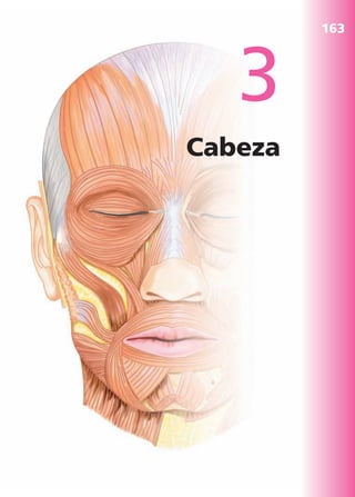 3
Cabeza
163
b027-03.qxd 8/4/11 2:31 PM Page 163
ERRNVPHGLFRVRUJ
 