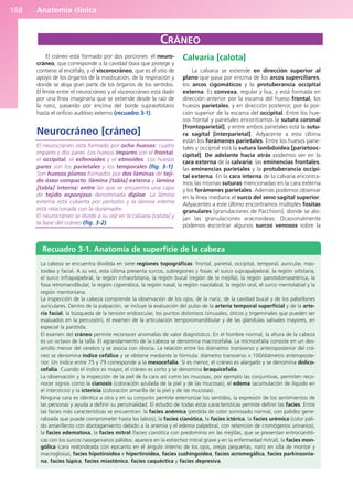 Anatomía clínica
168
El cráneo está formado por dos porciones: el neuro-
cráneo, que corresponde a la cavidad ósea que protege y
contiene al encéfalo, y el viscerocráneo, que es el sitio de
apoyo de los órganos de la masticación, de la respiración y
donde se aloja gran parte de los órganos de los sentidos.
El límite entre el neurocráneo y el viscerocráneo está dado
por una línea imaginaria que se extiende desde la raíz de
la nariz, pasando por encima del borde supraorbitario
hasta el orificio auditivo externo (recuadro 3-1).
Neurocráneo [cráneo]
El neurocráneo está formado por ocho huesos: cuatro
impares y dos pares. Los huesos impares son el frontal,
el occipital, el esfenoides y el etmoides. Los huesos
pares son los parietales y los temporales (fig. 3-1).
Son huesos planos formados por dos láminas de teji-
do óseo compacto (lámina [tabla] externa y lámina
[tabla] interna) entre las que se encuentra una capa
de tejido esponjoso denominada diploe. La lámina
externa está cubierta por periostio y la lámina interna
está relacionada con la duramadre.
El neurocráneo se divide a su vez en la calvaria [calota] y
la base del cráneo (fig. 3-2).
Calvaria [calota]
La calvaria se extiende en dirección superior al
plano que pasa por encima de los arcos superciliares,
los arcos cigomáticos y la protuberancia occipital
externa. Es convexa, regular y lisa, y está formada en
dirección anterior por la escama del hueso frontal, los
huesos parietales, y en dirección posterior, por la por-
ción superior de la escama del occipital. Entre los hue-
sos frontal y parietales encontramos la sutura coronal
[frontoparietal], y entre ambos parietales está la sutu-
ra sagital [interparietal]. Adyacente a esta última
están los forámenes parietales. Entre los huesos parie-
tales y occipital está la sutura lambdoidea [parietooc-
cipital]. De adelante hacia atrás podemos ver en la
cara externa de la calvaria: las eminencias frontales,
las eminencias parietales y la protuberancia occipi-
tal externa. En la cara interna de la calvaria encontra-
mos las mismas suturas mencionadas en la cara externa
y los forámenes parietales. Además podemos observar
en la línea mediana el surco del seno sagital superior.
Adyacentes a este último encontramos múltiples fositas
granulares [granulaciones de Pacchioni], donde se alo-
jan las granulaciones aracnoideas. Ocasionalmente
podemos escontrar algunos surcos venosos sobre la
CRÁNEO
La cabeza se encuentra dividida en siete regiones topográficas: frontal, parietal, occipital, temporal, auricular, mas-
toidea y facial. A su vez, esta última presenta surcos, subregiones y fosas: el surco suprapalpebral, la región orbitaria,
el surco infrapalpebral, la región infraorbitaria, la región bucal (región de la mejilla), la región parotidomasetérica, la
fosa retromandibular, la región cigomática, la región nasal, la región nasolabial, la región oral, el surco mentolabial y la
región mentoniana.
La inspección de la cabeza comprende la observación de los ojos, de la nariz, de la cavidad bucal y de los pabellones
auriculares. Dentro de la palpación, se incluye la evaluación del pulso de la arteria temporal superficial y de la arte-
ria facial, la búsqueda de la tensión endoocular, los puntos dolorosos (sinusales, óticos y trigeminales que pueden ser
evaluados en la percusión), el examen de la articulación temporomandibular y de las glándulas salivales mayores, en
especial la parótida.
El examen del cráneo permite reconocer anomalías de valor diagnóstico. En el hombre normal, la altura de la cabeza
es un octavo de la talla. El agrandamiento de la cabeza se denomina macrocefalia. La microcefalia consiste en un des-
arrollo menor del cerebro y se asocia con idiocia. La relación entre los diámetros transverso y anteroposterior del crá-
neo se denomina índice cefálico y se obtiene mediante la fórmula: diámetro transverso × 100/diámetro anteroposte-
rior. Un índice entre 75 y 79 corresponde a la mesocefalia. Si es menor, el cráneo es alargado y se denomina dolico-
cefalia. Cuando el índice es mayor, el cráneo es corto y se denomina braquicefalia.
La observación y la inspección de la piel de la cara así como las mucosas, por ejemplo las conjuntivas, permiten reco-
nocer signos como la cianosis (coloración azulada de la piel y de las mucosas), el edema (acumulación de líquido en
el intersticio) y la ictericia (coloración amarilla de la piel y de las mucosas).
Ninguna cara es idéntica a otra y en su conjunto permite exteriorizar los sentidos, la expresión de los sentimientos de
las personas y ayuda a definir su personalidad. El estudio de todas estas características permite definir las facies. Entre
las facies más características se encuentran: la facies anémica (pérdida de color sonrosado normal, con palidez gene-
ralizada que puede comprometer hasta los labios), la facies cianótica, la facies ictérica, la facies urémica (color páli-
do amarillento con abotagamiento debido a la anemia y el edema palpebral, con retención de cromógenos urinarios),
la facies edematosa, la facies mitral (facies cianótica con predominio en las mejillas, que se presentan eritrocianóti-
cas con los surcos nasogenianos pálidos; aparece en la estrechez mitral grave y en la enfermedad mitral), la facies mon-
gólica (cara redondeada con epicanto en el ángulo interno de los ojos, orejas pequeñas, nariz en silla de montar y
macroglosia), facies hipotiroidea e hipertiroidea, facies cushingoidea, facies acromegálica, facies parkinsonia-
na, facies lúpica, facies miasténica, facies caquéctica y facies depresiva.
Recuadro 3-1. Anatomía de superficie de la cabeza
b027-03.qxd 7/12/11 2:36 PM Page 168
ERRNVPHGLFRVRUJ
 