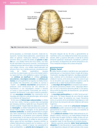 Anatomía clínica
170
de los episodios, su intensidad, duración, modo de ins-
tauración, factores desencadenantes, características del
dolor en general, medicación habitual y hábitos del
paciente. Ante un cuadro de cefalea, las pautas de alar-
ma son: una cefalea intensa de inicio súbito, una cefa-
lea de intensidad o frecuencia creciente, una localización
unilateral siempre del mismo lado, el empeoramiento de
una cefalea crónica, una cefalea desencadenada por
esfuerzo físico, tos o cambio postural, y la presencia aso-
ciada de fiebre, papiledema, náuseas
y vómitos no relacionados con otra enfermedad sistémi-
ca, signos de foco, crisis epiléptica y signos meníngeos.
Las cefaleas se clasifican en cefaleas primarias,
secundarias y neuralgias craneales. Las cefaleas pri-
marias son principalmente la migraña, la cefalea tensio-
nal (cefalea más frecuente) y la cefalea en racimos o
“cluster”. Las cefaleas secundarias generalmente se
producen como consecuencia de: una infección, un
traumatismo o una vasculopatía craneal o cervical,
un tumor o masa ocupante intracraneal, por exceso o
supresión de fármacos, o por algún trastorno psiquiátri-
co. Las neuralgias craneales más importantes son la
neuralgia del trigémino y del glosofaríngeo, del occipital,
y el síndrome de Tolosa-Hunt.
En los casos de hemorragia subaracnoidea, la cefalea
es de inicio súbito, intensa, y puede estar acompañada
por náuseas y vómitos y rigidez de nuca. El paciente refie-
re estar cursando “el peor dolor de cabeza de su vida”. En
las meningitis, la cefalea habitualmente está acompaña-
da por fiebre y signos meníngeos. En los pacientes con
tumores cerebrales, la cefalea generalmente es progre-
siva, tiene características distintas de las cefaleas padeci-
das previamente, o el paciente nunca presentó cefaleas
con anterioridad. En los casos en los que el tumor genera
hipertensión endocraneana, la cefalea se asocia a papile-
dema, signos de foco neurológico, náuseas y vómitos. La
cefalea habitualmente empeora por la mañana o con la
tos y el vómito, y tiende a mejorar con paracetamol o
ácido acetilsalicílico. La arteritis de la temporal es más
frecuente después de los 50 años y generalmente se
manifiesta como una cefalea hemicraneal. Está asociada a
tensión, dolor y ausencia del pulso a nivel de la arteria
temporal superficial, claudicación mandibular y polimial-
gia reumática. El diagnóstico de arteritis temporal se con-
firma mediante la biopsia de la arteria temporal.
Dolor facial
El dolor facial es el dolor a nivel de la cara, que puede ser
producido por un traumatismo facial, cirugías de la boca,
rinosinusitis, neuralgia del trigémino, neuralgias posherpé-
ticas, síndrome de la articulación temporomandibular y
cefalea en racimos, entre otras causas. En los casos en que
no se encuentra una causa subyacente estamos ante la
presencia de un dolor facial persistente idiopático.
La neuralgia del trigémino se caracteriza por presen-
tar dolores paroxísticos breves como “descargas eléctri-
cas” en una o más de las divisiones del NC V, con persis-
tencia entre los episodios de exacerbación, que general-
mente es unilateral.
La neuralgia posherpética es un dolor facial que per-
siste entre 1-6 meses después de una infección aguda
por herpes zóster. Se presenta con mayor frecuencia
como un aumento de la sensibilidad (hiperalgesia) a nivel
del territorio de inervación del ramo oftálmico del nervio
trigémino.
Las alteraciones a nivel de la articulación temporo-
mandibular pueden ocasionar también dolor facial, que
generalmente se irradia hacia el oído y se exacerba al
comer, masticar y hablar.
En la cefalea en racimos el dolor habitualmente es uni-
lateral e intenso, nocturno, y se irradia desde el fondo de
la órbita hacia la región frontal, la mejilla, el oído y el cue-
llo. Se puede asociar a lagrimeo, inyección conjuntival y
congestión nasal. Es más frecuente en hombres jóvenes.
Algunos pacientes presentan dolor facial persistente
idiopático. Es más frecuente en mujeres adultas y se llega
a este diagnóstico después de haber excluido otras causas
H. frontal
Surco del seno
sagital superior
Surcos arteriales
Fositas
granulares
H. occipital
Sutura sagital
H. parietal
Sutura coronal
Cresta frontal
Fig. 3-3. Calvaria del cráneo. Cara interna.
b027-03.qxd 7/12/11 2:36 PM Page 170
ERRNVPHGLFRVRUJ
 