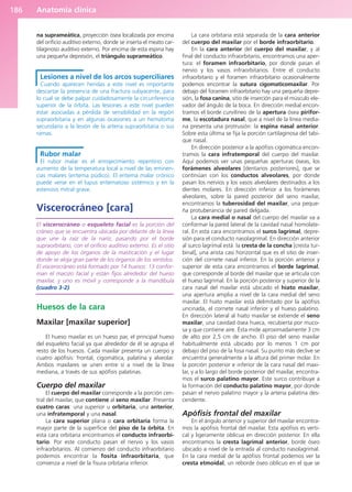 Anatomía clínica
186
na suprameática, proyección ósea localizada por encima
del orificio auditivo externo, donde se inserta el meato car-
tilaginoso auditivo externo. Por encima de esta espina hay
una pequeña depresión, el triángulo suprameático.
Lesiones a nivel de los arcos superciliares
Cuando aparecen heridas a este nivel es importante
descartar la presencia de una fractura subyacente, para
lo cual se debe palpar cuidadosamente la circunferencia
superior de la órbita. Las lesiones a este nivel pueden
estar asociadas a pérdida de sensibilidad en la región
supraorbitaria y en algunas ocasiones a un hematoma
secundario a la lesión de la arteria supraorbitaria o sus
ramas.
Rubor malar
El rubor malar es el enrojecimiento repentino con
aumento de la temperatura local a nivel de las eminen-
cias malares (eritema púdico). El eritema malar crónico
puede verse en el lupus eritematoso sistémico y en la
estenosis mitral grave.
Viscerocráneo [cara]
El viscerocráneo o esqueleto facial es la porción del
cráneo que se encuentra ubicada por delante de la línea
que une la raíz de la naríz, pasando por el borde
supraorbitario, con el orificio auditivo externo. Es el sitio
de apoyo de los órganos de la masticación y el lugar
donde se aloja gran parte de los órganos de los sentidos.
El viscerocráneo está formado por 14 huesos: 13 confor-
man el macizo facial y están fijos alrededor del hueso
maxilar, y uno es móvil y corresponde a la mandíbula
(cuadro 3-2).
Huesos de la cara
Maxilar [maxilar superior]
El hueso maxilar es un hueso par, el principal hueso
del esqueleto facial ya que alrededor de él se agrupa el
resto de los huesos. Cada maxilar presenta un cuerpo y
cuatro apófisis: frontal, cigomática, palatina y alveolar.
Ambos maxilares se unen entre sí a nivel de la línea
mediana, a través de sus apófisis palatinas.
Cuerpo del maxilar
El cuerpo del maxilar corresponde a la porción cen-
tral del maxilar, que contiene al seno maxilar. Presenta
cuatro caras: una superior u orbitaria, una anterior,
una infratemporal y una nasal.
La cara superior plana o cara orbitaria forma la
mayor parte de la superficie del piso de la órbita. En
esta cara orbitaria encontramos el conducto infraorbi-
tario. Por este conducto pasan el nervio y los vasos
infraorbitarios. Al comienzo del conducto infraorbitario
podemos encontrar la fosita infraorbitaria, que
comienza a nivel de la fisura orbitaria inferior.
La cara orbitaria está separada de la cara anterior
del cuerpo del maxilar por el borde infraorbitario.
En la cara anterior del cuerpo del maxilar, y al
final del conducto infraorbitario, encontramos una aper-
tura: el foramen infraorbitario, por donde pasan el
nervio y los vasos infraorbitarios. Entre el conducto
infraorbitario y el foramen infraorbitario ocasionalmente
podemos encontrar la sutura cigomaticomaxilar. Por
debajo del foramen infraorbitario hay una pequeña depre-
sión, la fosa canina, sitio de inserción para el músculo ele-
vador del ángulo de la boca. En dirección medial encon-
tramos el borde curvilíneo de la apertura ósea pirifor-
me, la escotadura nasal, que a nivel de la línea media-
na presenta una protrusión: la espina nasal anterior.
Sobre esta última se fija la porción cartilaginosa del tabi-
que nasal.
En dirección posterior a la apófisis cigomática encon-
tramos la cara infratemporal del cuerpo del maxilar.
Aquí podemos ver unas pequeñas aperturas óseas, los
forámenes alveolares [dentarios posteriores], que se
continúan con los conductos alveolares, por donde
pasan los nervios y los vasos alveolares destinados a los
dientes molares. En dirección inferior a los forámenes
alveolares, sobre la pared posterior del seno maxilar,
encontramos la tuberosidad del maxilar, una peque-
ña protuberancia de pared delgada.
La cara medial o nasal del cuerpo del maxilar va a
conformar la pared lateral de la cavidad nasal homolate-
ral. En esta cara encontramos el surco lagrimal, depre-
sión para el conducto nasolagrimal. En dirección anterior
al surco lagrimal está la cresta de la concha [cresta tur-
binal], una arista casi horizontal que es el sitio de inser-
ción del cornete nasal inferior. En la porción anterior y
superior de esta cara encontramos el borde lagrimal,
que corresponde al borde del maxilar que se articula con
el hueso lagrimal. En la porción posterior y superior de la
cara nasal del maxilar está ubicado el hiato maxilar,
una apertura amplia a nivel de la cara medial del seno
maxilar. El hiato maxilar está delimitado por la apófisis
uncinada, el cornete nasal inferior y el hueso palatino.
En dirección lateral al hiato maxilar se extiende el seno
maxilar, una cavidad ósea hueca, recubierta por muco-
sa y que contiene aire. Ésta mide aproximadamente 3 cm
de alto por 2,5 cm de ancho. El piso del seno maxilar
habitualmente está ubicado por lo menos 1 cm por
debajo del piso de la fosa nasal. Su punto más declive se
encuentra generalmente a la altura del primer molar. En
la porción posterior e inferior de la cara nasal del maxi-
lar, y a lo largo del borde posterior del maxilar, encontra-
mos el surco palatino mayor. Este surco contribuye a
la formación del conducto palatino mayor, por donde
pasan el nervio palatino mayor y la arteria palatina des-
cendente.
Apófisis frontal del maxilar
En el ángulo anterior y superior del maxilar encontra-
mos la apófisis frontal del maxilar. Esta apófisis es verti-
cal y ligeramente oblicua en dirección posterior. En ella
encontramos la cresta lagrimal anterior, borde óseo
ubicado a nivel de la entrada al conducto nasolagrimal.
En la cara medial de la apófisis frontal podemos ver la
cresta etmoidal, un reborde óseo oblicuo en el que se
b027-03.qxd 7/12/11 2:36 PM Page 186
ERRNVPHGLFRVRUJ
 