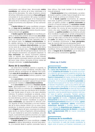 Cabeza 191
encontramos una saliente ósea, denominada rodete
mandibular, por encima de la línea milohioidea a la
altura de los premolares. Por sobre el extremo anterior
de la línea milohioidea encontramos la fosa sublingual,
concavidad en la cara posterior del cuerpo mandibular
que aloja a la glándula sublingual. En la mitad posterior
del cuerpo de la mandíbula y por debajo de la línea milo-
hioidea encontramos otra depresión: la fosa submandi-
bular.
El borde inferior del cuerpo mandibular correspon-
de a la base de la mandíbula. Sobre este borde y a
nivel de la línea mediana encontramos el punto craneo-
métrico denominado gnatión.
El borde superior del cuerpo de la mandíbula pre-
senta un borde libre posterior denominado arco alveo-
lar y los alvéolos dentarios, que alojan a las raíces den-
tarias. Los alvéolos dentarios están separados entre sí
por tabiques óseos: los tabiques interalveolares. En
los alvéolos dentarios de los dientes multirradiculares
encontramos los tabiques interradiculares, que sepa-
ran las raíces de un mismo diente. Por detrás del último
molar hay un triángulo óseo, el triángulo retromolar,
lugar de inserción del rafe pterigomandibular. Dentro de
este triángulo encontramos una pequeña depresión: la
fosa retromolar. De manera inconstante podemos
hallar un reborde óseo redondeado que se extiende
desde la apófisis coronoides hasta la cara distal y medial
del tercer molar inferior, formando el límite medial del
triángulo retromolar: la cresta buccinadora.
Rama de la mandíbula
Las ramas de la mandíbula, derecha e izquierda, se
extienden desde el cuerpo mandibular, verticales y lige-
ramente oblicuas ascendentes de adelante hacia atrás.
Cada rama de la mandíbula presenta dos caras (late-
ral y medial) y cuatro bordes (anterior, posterior, supe-
rior e inferior).
En la cara lateral, a nivel del ángulo de la mandíbula,
a veces podemos ver una región rugosa en la que se inser-
ta el músculo masetero: la tuberosidad masetérica.
En la cara medial encontramos el foramen mandi-
bular, aproximadamente 1 cm por encima del plano
oclusal. Este orificio se continúa con el conducto man-
dibular, conducto óseo que está dentro de la mandíbu-
la, y por donde pasan el nervio y los vasos alveolares
inferiores. El conducto mandibular se extiende, enton-
ces, desde el foramen mandibular, pasa por debajo de
las raíces dentarias y termina a nivel del foramen mento-
niano. A partir del foramen mandibular se origina el
surco milohioideo, que desciende en dirección ante-
rior, alojando al nervio milohioideo y a la rama milohioi-
dea de la arteria alveolar inferior con sus venas corres-
pondientes. En dirección anterior al foramen mandibular
está la língula [espina de Spix], una proyección ósea del-
gada donde se inserta el ligamento esfenomandibular.
En la cara medial de la rama de la mandíbula, cerca del
ángulo, ocasionalmente podemos encontrar una rugosi-
dad en la cuyal se inserta el músculo pterigoideo medial:
la tuberosidad pterigoidea.
El borde anterior de la rama mandibular o cresta
temporal es oblicuo descendente, de atrás hacia delan-
te, y se extiende desde la apófisis coronoides hasta la
línea oblicua. Este borde también le da inserción al
músculo temporal.
El borde posterior es liso y redondeado, y se extien-
de desde la apófisis condilar hasta el ángulo de la man-
díbula, donde se continúa con el borde inferior.
En el borde superior encontramos de adelante
hacia atrás: la apófisis coronoides, la escotadura mandi-
bular y la apófisis condilar. La apófisis coronoides da
inserción al músculo temporal. La escotadura mandi-
bular se encuentra entre la apófisis coronoides y la apó-
fisis condilar. Por encima de esta escotadura pasan el
nervio y los vasos masetéricos, para llegar al músculo
masetero. La apófisis condilar es la eminencia articular
de la mandíbula. Es aplanada en sentido anteroposterior
y en su extremo está el cóndilo de la mandíbula. Este
último se halla unido a la rama de la mandíbula a través
del cuello. Por debajo y en dirección medial al cóndilo
de la mandíbula encontramos la fosa pterigoidea,
lugar de inserción del músculo pterigoideo lateral.
El borde inferior de la rama de la mandíbula se con-
tinúa directamente con el borde inferior del cuerpo de la
mandíbula. Forma un ángulo marcado con el borde pos-
terior: el ángulo de la mandíbula, que se utiliza tam-
bién como punto craneométrico (gonión).
Hioides
(Véase cap. 4: Cuello)
Fracturas del maxilar
La causa más frecuente de las fracturas de maxilar
son los accidentes de tránsito. De acuerdo con la fuer-
za y dirección del traumatismo podemos encontrar dis-
tintos tipos de fractura. En la fractura de Le Fort I o de
Guerin o transversal del maxilar, la línea de fractura se
extiende desde los vértices dentarios hasta las apófisis
pterigoides. En la fractura de Le Fort II o piramidal, la
línea de fractura pasa por la raíz nasal, el hueso lagrimal,
el reborde infraorbitario, y por la cara anterior del maxi-
lar hasta la apófisis pterigoides. En la fractura de Le Fort
III o disyunción craneofacial, el trazo de fractura pasa
por la raíz nasal, el hueso lagrimal, la apófisis frontal del
cigomático, y por las paredes lateral y posterior del maxi-
lar hasta la apófisis pterigoides. También podemos
encontrar fracturas de los procesos alveolares, frac-
turas sagitales del maxilar, o fracturas parcelarias.
Clínicamente las fracturas de maxilar pueden presentar
hematoma periorbitario bilateral o en antifaz, epista-
xis, equimosis conjuntival, edema infraorbitario,
maloclusión dentaria y mordida abierta anterior.
Como métodos de diagnóstico por imágenes se utili-
zan la radiografía (proyección de Waters) y la tomo-
grafía computarizada (TC) de macizo craneofacial
(fig. 3-20).
Fracturas de la mandíbula
La mandíbula presenta tres zonas más débiles, propi-
cias a fracturarse: el cuello del cóndilo mandibular, la
región entre el canino y el foramen mentoniano, y el
b027-03.qxd 7/27/11 2:08 PM Page 191
ERRNVPHGLFRVRUJ
 
