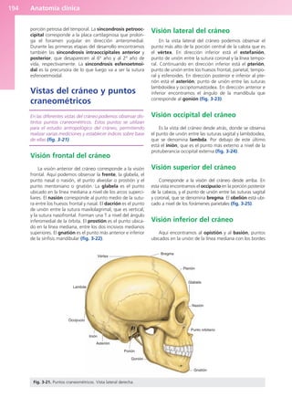 Anatomía clínica
194
porción petrosa del temporal. La sincondrosis petrooc-
cipital corresponde a la placa cartilaginosa que prolon-
ga el foramen yugular en dirección anteromedial.
Durante las primeras etapas del desarrollo encontramos
también las sincondrosis intraoccipitales anterior y
posterior, que desaparecen al 6º año y al 2º año de
vida, respectivamente. La sincondrosis esfenoetmoi-
dal es la precursora de lo que luego va a ser la sutura
esfenoetmoidal.
Vistas del cráneo y puntos
craneométricos
En las diferentes vistas del cráneo podemos observar dis-
tintos puntos craneométricos. Estos puntos se utilizan
para el estudio antropológico del cráneo, permitiendo
realizar varias mediciones y establecer índices sobre base
de ellas (fig. 3-21).
Visión frontal del cráneo
La visión anterior del cráneo corresponde a la visión
frontal. Aquí podemos observar la frente, la glabela, el
punto nasal o nasión, el punto alveolar o prostión y el
punto mentoniano o gnatión. La glabela es el punto
ubicado en la línea mediana a nivel de los arcos superci-
liares. El nasión corresponde al punto medio de la sutu-
ra entre los huesos frontal y nasal. El dacrión es el punto
de unión entre la sutura maxilolagrimal, que es vertical,
y la sutura nasofrontal. Forman una T a nivel del ángulo
inferomedial de la órbita. El prostión es el punto ubica-
do en la línea mediana, entre los dos incisivos medianos
superiores. El gnatión es el punto más anterior e inferior
de la sínfisis mandibular (fig. 3-22).
Visión lateral del cráneo
En la vista lateral del cráneo podemos observar el
punto más alto de la porción central de la calota que es
el vértex. En dirección inferior está el estefanión,
punto de unión entre la sutura coronal y la línea tempo-
ral. Continuando en dirección inferior está el pterión,
punto de unión entre los huesos frontal, parietal, tempo-
ral y esfenoides. En dirección posterior e inferior al pte-
rión está el asterión, punto de unión entre las suturas
lambdoidea y occipitomastoidea. En dirección anterior e
inferior encontramos el ángulo de la mandíbula que
corresponde al gonión (fig. 3-23).
Visión occipital del cráneo
Es la vista del cráneo desde atrás, donde se observa
el punto de unión entre las suturas sagital y lambdoidea,
que se denomina lambda. Por debajo de este último
está el inión, que es el punto más externo a nivel de la
protuberancia occipital externa (fig. 3-24).
Visión superior del cráneo
Corresponde a la visión del cráneo desde arriba. En
esta vista encontramos el occipucio en la porción posterior
de la cabeza, y el punto de unión entre las suturas sagital
y coronal, que se denomina bregma. El obelión está ubi-
cado a nivel de los forámenes parietales (fig. 3-25).
Visión inferior del cráneo
Aquí encontramos al opistión y al basión, puntos
ubicados en la unión de la línea mediana con los bordes
Vértex
Lambda
Occipucio
Inión
Asterión
Porión
Gonión
Gnatión
Punto orbitario
Nasión
Glabela
Pterión
Bregma
Fig. 3-21. Puntos craneométricos. Vista lateral derecha.
b027-03.qxd 7/12/11 2:36 PM Page 194
ERRNVPHGLFRVRUJ
 