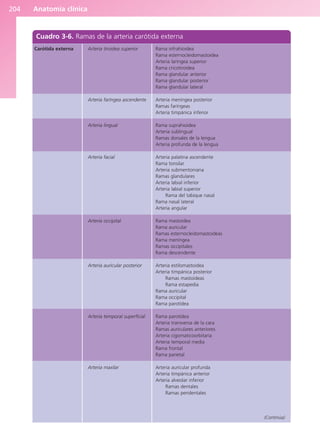 Anatomía clínica
204
Cuadro 3-6. Ramas de la arteria carótida externa
Carótida externa Arteria tiroidea superior
Arteria faríngea ascendente
Arteria lingual
Arteria facial
Arteria occipital
Arteria auricular posterior
Arteria temporal superficial
Arteria maxilar
Rama infrahioidea
Rama esternocleidomastoidea
Arteria laríngea superior
Rama cricotiroidea
Rama glandular anterior
Rama glandular posterior
Rama glandular lateral
Arteria meníngea posterior
Ramas faríngeas
Arteria timpánica inferior
Rama suprahioidea
Arteria sublingual
Ramas dorsales de la lengua
Arteria profunda de la lengua
Arteria palatina ascendente
Rama tonsilar
Arteria submentoniana
Ramas glandulares
Arteria labial inferior
Arteria labial superior
Rama del tabique nasal
Rama nasal lateral
Arteria angular
Rama mastoidea
Rama auricular
Ramas esternocleidomastoideas
Rama meníngea
Ramas occipitales
Rama descendente
Arteria estilomastoidea
Arteria timpánica posterior
Ramas mastoideas
Rama estapedia
Rama auricular
Rama occipital
Rama parotídea
Rama parotídea
Arteria transversa de la cara
Ramas auriculares anteriores
Arteria cigomaticoorbitaria
Arteria temporal media
Rama frontal
Rama parietal
Arteria auricular profunda
Arteria timpánica anterior
Arteria alveolar inferior
Ramas dentales
Ramas peridentales
(Continúa)
b027-03.qxd 7/12/11 2:36 PM Page 204
ERRNVPHGLFRVRUJ
 