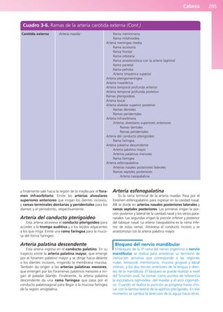 Cabeza 205
y finalmente sale hacia la región de la mejilla por el fora-
men infraorbitario. Emite las arterias alveolares
superiores anteriores que irrigan los dientes incisivos,
y ramas terminales dentarias y peridentales para los
dientes y el periodonto, respectivamente.
Arteria del conducto pterigoideo
Esta arteria atraviesa el conducto pterigoideo para
acceder a la trompa auditiva y a los tejidos adyacentes
a los que irriga. Emite una rama faríngea para la muco-
sa del fórnix faríngeo.
Arteria palatina descendente
Esta arteria ingresa en el conducto palatino. En su
trayecto emite la arteria palatina mayor, que emerge
por el foramen palatino mayor y se dirige hacia delante
a los dientes incisivos, irrigando la membrana mucosa.
También da origen a las arterias palatinas menores,
que emergen por los forámenes palatinos menores e irri-
gan el paladar blando. Finalmente, la arteria palatina
descendente da una rama faríngea que pasa por el
conducto palatovaginal para llegar a la mucosa faríngea
de la región amigdalina.
Arteria esfenopalatina
Es la rama terminal de la arteria maxilar. Pasa por el
foramen esfenopalatino para ingresar en la cavidad nasal.
Allí se divide en arterias nasales posteriores laterales y
ramas septales posteriores. Las primeras irrigan la por-
ción posterior y lateral de la cavidad nasal y los senos para-
nasales. Las segundas irrigan la porción inferior y posterior
del tabique nasal. La arteria nasopalatina es la rama infe-
rior de estas ramas. Atraviesa el conducto incisivo y se
anastomosa con la arteria palatina mayor.
Bloqueo del nervio mandibular
El bloqueo de la 3ª rama del nervio trigémino o nervio
mandibular se realiza para anestesiar su territorio de
inervación sensitiva que corresponde a las regiones
malar, temporal, mentoniana, mucosa gingival y labial
inferior, y los dos tercios anteriores de la lengua y dien-
tes de la mandíbula. El bloqueo se puede realizar a nivel
del foramen oval. Se toman como puntos de referencia
la escotadura sigmoidea del maxilar y el arco cigomáti-
co. Cuando se realiza la punción se progresa hasta cho-
car con la lámina lateral de la apófisis pterigoides. En ese
momento se cambia la dirección de la aguja hacia atrás.
Cuadro 3-6. Ramas de la arteria carótida externa (Cont.)
Carótida externa Arteria maxilar Rama mentoniana
Rama milohioidea
Arteria meníngea media
Rama accesoria
Rama frontal
Rama orbitaria
Rama anastomótica con la arteria lagrimal
Rama parietal
Rama petrosa
Arteria timpánica superior
Arteria pterigomeníngea
Arteria masetérica
Arteria temporal profunda anterior
Arteria temporal profunda posterior
Ramas pterigoideas
Arteria bucal
Arteria alveolar superior posterior
Ramas dentales
Ramas peridentales
Arteria infraorbitaria
Arterias alveolares superiores anteriores
Ramas dentales
Ramas peridentales
Arteria del conducto pterigoideo
Rama faríngea
Arteria palatina descendente
Arteria palatina mayor
Arterias palatinas menores
Rama faríngea
Arteria esfenopalatina
Arterias nasales posteriores laterales
Ramas septales posteriores
Arteria nasopalatina
b027-03.qxd 7/12/11 2:36 PM Page 205
ERRNVPHGLFRVRUJ
 
