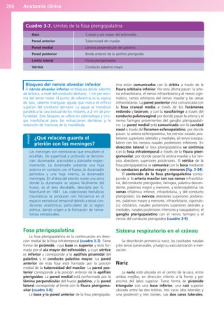 Anatomía clínica
206
Bloqueo del nervio alveolar inferior
El nervio alveolar inferior se bloquea desde adentro
de la boca, a nivel del conducto dentario, 1 cm por enci-
ma del tercer molar. El punto de referencia es la espina
de Spix, saliente triangular aguda que marca el orificio
superior del conducto dentario. La aguja se introduce
paralela a la cara oclusal de los molares, a 2 cm de pro-
fundidad. Este bloqueo se utiliza en odontología y ciru-
gía maxilofacial para las extracciones dentarias y la
reducción de fracturas de la mandíbula.
Fosa pterigopalatina
La fosa pterigopalatina es la continuación en direc-
ción medial de la fosa infratemporal (cuadro 3-7). Tiene
forma de pirámide, cuya base es superior y está for-
mada por el ala mayor del esfenoides, y cuyo vértice
es inferior y corresponde a la apófisis piramidal del
palatino y el conducto palatino mayor. La pared
anterior de esta fosa está formada por la porción
medial de la tuberosidad del maxilar. La pared pos-
terior corresponde a la porción anterior de la apófisis
pterigoides. La pared medial está conformada por la
lámina perpendicular del hueso palatino, y la pared
lateral corresponde al límite con la fisura pterigoma-
xilar (cuadro 3-8).
La base y la pared anterior de la fosa pterigopala-
tina están comunicadas con la órbita a través de la
fisura orbitaria inferior. Por esta última pasan: la arte-
ria infraorbitaria, el nervio infraorbitario y el nervio cigo-
mático, ramos orbitarios del nervio maxilar y las venas
infraorbitarias. La pared posterior está comunicada con
la fosa craneal media a través de los forámenes
redondo y lacerum, y con la nasofaringe a través del
conducto palatovaginal por donde pasan la arteria y el
nervio faríngeo provenientes del ganglio pterigopalati-
no. La pared medial está comunicada con la cavidad
nasal a través del foramen esfenopalatino, por donde
pasan: la arteria esfenopalatina, los nervios nasales pos-
teriores superiores laterales y mediales, el nervio nasopa-
latino con los nervios nasales posteriores inferiores. En
dirección lateral la fosa pterigopalatina se continúa
con la fosa infratemporal a través de la fisura pteri-
gomaxilar, por donde pasan la arteria maxilar y los ner-
vios alveolares superiores posteriores. El vértice de la
fosa pterigopalatina se comunica con la boca mediante
los conductos palatino mayor y menores (fig. 3-34).
El contenido de la fosa pterigopalatina corres-
ponde a: la arteria maxilar con sus ramas infraorbita-
ria, del conducto pterigoideo, faríngea, palatina descen-
dente, palatinas mayor y menores, y esfenopalatina; las
venas oftálmica inferior, infraorbitaria, y del conducto
pterigoideo; los nervios alveolares superiores posterio-
res, palatinos mayor y menores, infraorbitario, cigomáti-
co, orbitarios, nasales posteriores superiores laterales y
mediales, nasales posteriores inferiores y nasopalatino; el
ganglio pterigopalatino con el nervio faríngeo y el
nervio del conducto pterigoideo (cuadro 3-9).
Sistema respiratorio en el cráneo
Se describirán primero la nariz, las cavidades nasales
y los senos paranasales, y luego su vascularización e iner-
vación.
Nariz
La nariz está ubicada en el centro de la cara, entre
ambas mejillas, en dirección inferior a la frente y por
encima del labio superior. Tiene forma de pirámide
triangular con una base inferior, una raíz superior
ubicada entre las dos órbitas, tres caras (dos laterales y
una posterior) y tres bordes. Las dos caras laterales,
Cuadro 3-7. Límites de la fosa pterigopalatina
Base
Pared anterior
Pared medial
Pared posterior
Límite lateral
Vértice
Cuerpo y ala mayor del esfenoides
Tuberosidad del maxilar
Lámina perpendicular del palatino
Borde anterior de la apófisis pterigoides
Fisura pterigomaxilar
Conducto palatino mayor
¿Qué relación guarda el
pterión con las meninges?
Las meninges son membranas que envuelven el
encéfalo. De superficial a profundo se denomi-
nan: duramadre, aracnoides y piamadre respec-
tivamente. La duramadre presenta una hoja
externa en contacto con el hueso, la duramadre
perióstica y una hoja interna, la duramadre
meníngea. En el área del pterión existe una zona
donde la duramadre se separa fácilmente del
hueso, es el área decolable, descripta por G.
Marchand en 1881. Las colecciones hemáticas
traumáticas se producen con frecuencia en el
espacio extradural temporal debido a estas con-
diciones anatómicas particulares de la región
ptérica, dando origen a la formación de hema-
tomas extradurales.
b027-03.qxd 7/12/11 2:36 PM Page 206
ERRNVPHGLFRVRUJ
 