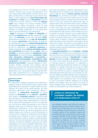 Cabeza 217
una prevalencia en torno al 10-12%, y es un proceso
bastante frecuente por la gran vascularización de la
zona. Requiere de modo diferido un estudio clínico com-
pleto, de laboratorio y endoscópico para intentar esta-
blecer su causa subyacente. La zona hemorrágica por
excelencia es el área o locus de Kiesselbach, que está
ubicada en la porción anterior e inferior del tabique
nasal. Aquí confluyen las arterias etmoidal anterior,
esfenopalatina, palatina ascendente y facial. En este
lugar la mucosa nasal es más delgada y está unida direc-
tamente al cartílago subyacente. Es una región poco
elástica que está sometida a más sobrecargas.
Según la localización del origen del sangrado, las
epistaxis se clasifican en anteriores, posteriores y supe-
riores. Las anteriores son las más frecuentes (90%),
generalmente originadas en el área de Kiesselbach.
Las epistaxis posteriores habitualmente se producen
por sangrado del tronco de la arteria esfenopalatina o
de alguna de sus ramas. Este sangrado es difícil de cohi-
bir por su localización. Las epistaxis superiores se
deben al sangrado de las arterias etmoidales anterio-
res o posteriores, o de alguna de sus ramas. Según su
etiología, las epistaxis pueden ser idiopáticas o cons-
titucionales (las más frecuentes), traumáticas, tumo-
rales, infecciosas, inflamatorias, o secundarias a
enfermedades hematológicas, vasculopatías, medi-
camentosas (anticoagulantes orales), hipertensión
arterial no controlada. La epistaxis idiopática o consti-
tucional, también conocida como epistaxis esencial
benigna, es la forma más frecuente de epistaxis. Se pre-
senta habitualmente en pacientes jóvenes de modo
espontáneo o por manipulación digital a nivel del vestí-
bulo nasal. Generalmente es un sangrado escaso que
cede espontáneamente o mediante compresión.
Rinoscopia
La exploración rinológica comienza con la inspección y
palpación externa de la pirámide nasal y región medio-
facial. Mediante la inspección se deben valorar las carac-
terísticas de la piel y de las partes blandas, así como
identificar alteraciones como tumefacción, edema o
hiperemia. La exploración endonasal se realiza
mediante la rinoscopia, ya sea anterior o posterior.
Para realizar la rinoscopia anterior el paciente debe
estar sentado en el sillón de exploración otorrinolaringo-
lógica con la cabeza sobre el apoyacabezas. El examina-
dor se coloca frente al paciente a unos 25 cm sujetando
con una mano la cabeza del paciente y con la otra el
espéculo nasal, que se introduce cerrado en la narina,
desplazando lateralmente el ala nasal, para abrirlo
luego progresivamente, de manera que permita ver las
válvulas nasales y los fondos de saco de Zuckerkandl. A
continuación se introduce el rinoscopio entre el tabique
y la válvula nasal. El examen se inicia sin ninguna prepa-
ración del paciente. Luego se realiza una segunda explo-
ración en función del resultado de la primera tras haber
colocado un producto anestésico-vasoconstrictor tópico
empapado en una mecha de algodón. Mediante la rinos-
copia anterior se puede observar la región más ventral
de las fosas nasales, especialmente las áreas de Cotlte: I
vestibular, II valvular, III ático nasal. Las zonas de la cavi-
dad nasal que podemos visualizar, dependiendo de lo
favorable que sea la anatomía, son: el piso de la cavidad
nasal, el tabique nasal, la mancha vascular o área de
Kiesselbach, los cornetes y los meatos. El color de la
mucosa que recubre el cornete inferior varía en función
de la patología existente. La hipertrofia de cornetes infe-
riores es una causa frecuente de obstrucción nasal. El
meato medio recibe secreciones de los senos frontales,
maxilar y etmoidal anterior. La existencia de alteraciones
en este nivel indica con gran probabilidad una lesión
sinusal. La hiperextensión de la cabeza del paciente faci-
lita la exploración del cornete y meato medios. El corne-
te superior y la región olfatoria no son visibles habitual-
mente en la rinoscopia anterior. Mediante la rinoscopia
anterior se pueden evaluar por lo tanto el aspecto de la
mucosa nasal, el aspecto, situación y posibles deformi-
dades del tabique nasal, la existencia y el aspecto de las
secreciones nasales, el estado de ingurgitación de los
cornetes, el aspecto meatal, posibles neoformaciones y
cuerpos extraños y presencia de puntos sangrantes y fra-
gilidad del tejido al tacto.
La rinoscopia posterior permite estudiar la faringe
y las coanas. Generalmente es un procedimiento dificul-
toso que está muy condicionado por el reflejo nauseoso
y la configuración anatómica. Actualmente fue reem-
plazada ampliamente por la endoscopia que ofrece
una visión mucho mejor de estas regiones. Para realizar
la rinoscopia posterior necesitamos un bajalengua y
espejillos de faringe de diferentes tamaños. Es necesario
anestesiar la cavidad orofaríngea para evitar el reflejo
nauseoso. Se deprime la lengua con un bajalenguas y
con la mano derecha se sujeta un espejillo laríngeo que,
calentado previamente para que no se empañe, se intro-
duce por debajo del paladar blando hasta sobrepasarlo,
tratando de no tocar la úvula. Inclinando el espejillo se
puede obtener una visualización más o menos comple-
ta. Con la rinoscopia posterior podemos ver el borde
posterior del tabique nasal, las coanas, la faringe, el
receso faríngeo [fosita de Rosenmüller] con los rodetes
tubárico y del elevador y los orificios tubáricos.
¿Cómo se relacionan las
cavidades nasales, las órbitas
y el endocráneo entre sí?
Las cavidades nasales y las órbitas son espacios
del viscerocráneo que comparten alguno de sus
límites con el endocráneo, por eso se las deno-
mina cavidades comunes del cráneo y de la cara.
La pared superior de las cavidades nasales está
formada de anterior a posterior por hueso nasal,
la espina nasal del frontal, la lámina cribosa del
etmoides y el cuerpo de esfenoides. Esta pared
por arriba se relaciona con la fosa craneana
anterior. La fractura de estos huesos pone en
comunicación ambos compartimentos y produ-
ce la salida del líquido cerebroespinal por las
cavidades nasales (rinorraquia).
b027-03.qxd 7/12/11 2:37 PM Page 217
ERRNVPHGLFRVRUJ
 