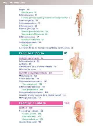 Anatomía clínica
XXIV
Sangre 56
Médula ósea 56
Sistema nervioso 57
Sistema nervioso central y sistema nervioso periférico 57
Sistema digestivo 64
Sistema respiratorio 65
Sistema urinario 65
Sistemas genitales 66
Sistema genital masculino 66
Sistema genital femenino 66
Sistema endocrino 67
Glándulas endocrinas 67
Cavidades corporales 67
Serosas 69
Generalidades de los medios de diagnóstico por imágenes 70
Capítulo 2: Dorso 81
REGIONES DORSALES 84
Columna vertebral 86
Vértebras 88
Articulaciones de la columna vertebral 101
Músculos del dorso 113
SISTEMA NERVIOSO CENTRAL 135
Médula espinal 135
Nervios espinales 140
Sistema sensitivo somático 142
Vías ascendentes 143
Sistema motor somático 148
Vías descendentes 148
Sistema nervioso autónomo 152
Irrigación arterial y venosa de la médula espinal 154
Meninges espinales 157
Capítulo 3: Cabeza 163
CRÁNEO 168
Neurocráneo [cráneo] 168
Calvaria (calota) 168
Base del cráneo 171
Huesos del cráneo 176
Viscerocráneo [cara] 186
b027-pli.qxd 7/20/11 9:34 AM Page XXIV
ERRNVPHGLFRVRUJ
 