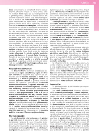 Cabeza 233
didad corresponden a: el nervio facial, el nervio auriculo-
temporal, estructuras venosas y la arteria carótida exter-
na. El nervio facial ingresa por la porción posterior de
la glándula parótida y adopta un trayecto oblicuo des-
cendente en dirección anterior. En el interior de la glán-
dula se divide en sus ramos terminales formando el
plexo intraparotídeo del nervio facial y dividiendo la
glándula parótida en un lóbulo superficial y un lóbulo
profundo. El nervio auriculotemporal, ramo del nervio
mandibular, está ubicado en profundidad al nervio facial
y adopta un trayecto ascendente posterior, acompañan-
do a los vasos temporales superficiales. Las venas se
encuentran en profundidad a las dos estructuras nervio-
sas antes mencionadas. Encontramos también las venas
temporales superficiales que drenan hacia la vena
retromandibular. Esta última recibe como afluentes a
las venas parotídeas, a las venas de la articulación tem-
poromandibular y a la vena maxilar. La vena retromandi-
bular se divide en dos ramas, una afluente de la yugular
interna y otra afluente de la yugular externa. La arteria
carótida externa se ubica en la porción profunda de la
glándula parótida, desde donde emite las siguientes
ramas colaterales: la arteria auricular posterior,
ramas glandulares y la arteria facial transversa.
También da sus ramas terminales dentro de la celda
parotídea: la arteria maxilar y la arteria temporal
superficial. La glándula parótida también está relacio-
nada con los nodos linfáticos intraglandulares, paro-
tídeos profundos y superficiales.
Relaciones extrínsecas
En dirección lateral la glándula parótida está rela-
cionada con el tejido subcutáneo y la piel. En direc-
ción anterior está relacionada de la superficie a la pro-
fundidad con el músculo masetero, la rama de la
mandíbula y el músculo pterigoideo medial. En
dirección posterior y lateral la glándula parótida se
relaciona de superficial a profundo con: el músculo
esternocleidomastoideo, la apófisis mastoides y el
vientre posterior del músculo digástrico. En direc-
ción posterior y lateral encontramos de superficial a
profundo: los nodos linfáticos yugulodigástricos
(nivel II), la vena yugular interna, los NC XI, X y IX, la
arteria carótida interna, el NC XII y el tronco simpá-
tico cervical. En dirección medial se relaciona con la
apófisis estiloides, rodeada por los músculos estilo-
hioideo, estilofaríngeo y estilogloso. En dirección
inferior la parótida está separada de la celda subman-
dibular mediante el tracto angular de la fascia cervical y
de la región esternocleidomastoidea superior
mediante el trayecto de la arteria carótida externa. En
dirección superior está relacionada con el conducto
auditivo externo y el foramen estilomastoideo.
Vascularización
La arteria carótida externa ingresa en la glándu-
la parótida luego de abandonar la región esternoclei-
domastoidea y atravesar la región retroestílea, atrave-
sando la pared posterior del compartimento parotídeo.
En su trayecto intraparotídeo la arteria carótida externa
emite ramas colaterales glandulares y la arteria auri-
cular posterior, que asciende por delante del músculo
digástrico y que va a irrigar la glándula parótida al igual
que la arteria auricular anterior. En el compartimento
parotídeo la arteria carótida externa finalmente se divide
en sus ramas terminales: la arteria maxilar y la arteria
temporal superficial. Esta última emite la arteria facial
transversa, que también va a irrigar la glándula.
El drenaje venoso de la parótida se realiza a través
de la vena temporal superficial, que ingresa por la
porción superior de la glándula, recibiendo como afluen-
te a la vena maxilar para transformarse así en la vena
retromandibular. Dentro de la glándula parótida la
vena retromandibular se divide en una rama anterior,
que sale de la glándula para unirse a la vena facial for-
mando la vena facial común, y una rama posterior,
que se une a la vena auricular posterior para formar
la vena yugular externa. La vena retromandibular se
relaciona dentro de la parótida con el nervio facial, en
dirección lateral y superficial, y la arteria carótida exter-
na en dirección medial y profunda.
Los vasos linfáticos de la región temporal adyacente
a la glándula parótida y de la cara anterior del pabellón
auricular drenan la linfa hacia los nodos linfáticos
parotídeos superficiales. Estos últimos son superficia-
les a la fascia parotídea y están ubicados en dirección
anterior al trago. La linfa de los nodos linfáticos parotí-
deos superficiales es drenada hacia los nodos linfáticos
cervicales profundos.
La linfa proveniente del orificio auditivo externo, la
cavidad timpánica, la región frontotemporal, la raíz de
la nariz, los párpados y a veces de la nasofaringe y de la
porción posterior de la cara inferior de las fosas nasales
termina en los nodos linfáticos parotídeos profun-
dos. Estos últimos están conformados por los nodos pre-
auriculares (por delante del pabellón auricular), infraau-
riculares (por debajo del pabellón auricular), e intraglan-
dulares. Desde los nodos parotídeos profundos la linfa
drena hacia los nodos cervicales profundos.
Inervación
La glándula parótida recibe inervación parasimpáti-
ca, simpática y sensitiva.
Los ramos parasimpáticos provienen originaria-
mente del nervio glosofaríngeo. El nervio timpánico,
el primer ramo del nervio glosofaríngeo que abandona el
ganglio inferior (ubicado por debajo del foramen yugu-
lar), ingresa en la cavidad timpánica a través del
canalículo timpánico ubicado entre el foramen yugular y
el canal carotídeo. En la cavidad timpánica forma parte
del plexo timpánico, junto al plexo carotídeo interno y
al ramo comunicante para el plexo timpánico provenien-
te del nervio facial. Del plexo timpánico nace el nervio
petroso menor, que atraviesa la pared anterior de la
porción petrosa del hueso temporal e ingresa en la fosa
craneal media a través de la fisura esfenopetrosa. Luego
sale de la fosa craneal media a través del foramen oval
para llegar al ganglio ótico. El ganglio ótico “cuelga”
del nervio mandibular, inmediatamente por debajo del
foramen oval. A nivel del ganglio ótico las neuronas del
nervio petroso menor hacen sinapsis con las neuronas
posganglionares, cuyas fibras se integran al nervio
auriculotemporal. Este último finalmente emite ramos
para la glándula parótida. En el interior de la glándula
b027-03.qxd 7/12/11 2:37 PM Page 233
ERRNVPHGLFRVRUJ
 