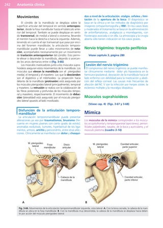 Anatomía clínica
242
Movimientos
El cóndilo de la mandíbula se desplaza sobre la
superficie articular del temporal en sentido anteropos-
terior, desde la fosa mandibular hasta el tubérculo ante-
rior del temporal. También se puede desplazar en senti-
do transversal, de medial a lateral o viceversa, llevando
el mentón hacia la derecha o hacia la izquierda. Además,
teniendo en cuenta el eje transversal que pasa por enci-
ma del foramen mandibular, la articulación temporo-
mandibular puede llevar a cabo movimientos de rota-
ción, acompañados necesariamente por un movimiento
de traslación anteroposterior del cóndilo. Esto permi-
te elevar o descender la mandíbula, alejando o acercan-
do los arcos dentarios entre sí (fig. 3-66).
Los músculos masticadores junto a los músculos supra-
hioideos aseguran estos movimientos de la mandíbula. Los
músculos que elevan la mandíbula son el pterigoideo
medial, el temporal y el masetero. Los que la descienden
son el digástrico y el milohioideo. La proyección hacia
delante de la mandíbula (protrusión) está asegurada por
los músculos pterigoideo lateral (principalmente), temporal
y masetero. La retrusión se realiza con la colaboración de
las fibras posteriores y profundas de los músculos tempo-
ral y masetero, respectivamente. El movimiento de diduc-
ción (lateralidad) está asegurado por el músculo pterigoi-
deo lateral opuesto al lado movilizado.
Disfunción de la articulación temporo-
mandibular
La articulación temporomandibular puede presentar
alteraciones ya sea por traumatismos, bruxismo (fre-
cuente en mujeres jóvenes con cierto grado de estrés),
anomalías evolutivas, tumores, hiperlaxitud de los liga-
mentos, artrosis, artritis y pericondritis, entre otras afec-
ciones. Clínicamente se manifiesta con dolor y chasqui-
dos a nivel de la articulación, otalgia, cefalea y limi-
tación de la apertura de la boca. El diagnóstico se
basa en la clínica y en los métodos de diagnóstico por
imágenes (ortopantomografía y RM). En los casos leves
y moderados el tratamiento se basa en la administración
de antiinflamatorios, analgésicos y miorrelajantes, con
fisioterapia asociada o sin ella. La artroscopia y la cirugía
abierta sólo tienen indicación en los casos graves.
Nervio trigémino: trayecto periférico
Véase capítulo 3, página 280
Lesión del nervio trigémino
El compromiso del nervio trigémino se puede manifes-
tar clínicamente mediante dolor y/o hipoestesia en la
hemicara ipsolateral, desviación de la mandíbula hacia el
lado enfermo con debilidad para la masticación y aboli-
ción del reflejo corneal. Las causas más frecuentes de
afección del NC V son la infección por herpes zóster, la
esclerosis múltiple y la neuralgia idiopática.
Músculos suprahioideos
(Véase cap. 4) (figs. 3-67 y 3-68).
Mímica
Los músculos de la mímica corresponden a los múscu-
los occipitofrontal y temporoparietal (epicráneo), periori-
ficiales palpebrales, nasales, de la boca y auriculares, y el
músculo platisma (cuadro 3-14).
M. pterigoideo
lateral
Fosa
mandibular
Disco
articular
Cabeza de la
mandíbula
M. pterigoideo
lateral
Cavidad articular,
parte superior
Cavidad articular,
parte inferior
Fig. 3-66. Movimientos de la articulación temporomandibular izquierda, vista lateral. A. Con la boca cerrada, la cabeza de la man-
díbula se ubica en la fosa mandibular. B. Con la mandíbula muy descendida, la cabeza de la mandíbula se desplaza hacia delan-
te por acción del músculo pterigoideo lateral.
A B
b027-03.qxd 7/12/11 2:37 PM Page 242
ERRNVPHGLFRVRUJ
 