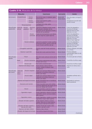 Cabeza 243
Cuadro 3-14. Músculos de la mímica
Músculos Acción
Eleva las cejas y arruga la
frente
Antagoniza la acción del
vientre frontal
Cierra los párpados y
favorece el drenaje
lagrimal hacia el saco
lagrimal y la nariz
Cierra los párpados y
favorece el drenaje
lagrimal hacia el saco
lagrimal y la nariz.
Dilata el saco lagrimal
Cierra los párpados y
favorece el drenaje
lagrimal hacia el saco
lagrimal y la nariz
Produce pliegues verticales
en la frente
Produce pliegues
transversales sobre la raíz
de la nariz
Tira de la piel de la frente
Constriñe el orificio nasal
Ensancha el orificio nasal
Deprime el vértice de la
nariz
Verdadero esfínter de la
boca
Desciende la comisura
labial ipsolateral
Epicraneano
Periorificiales
palpebrales
Periorificiales
nasales
Periorificiales
de la boca
Occipitofrontal Vientre
frontal
Vientre
occipital
Temporoparietal
Orbicular
del ojo
Porción
palpebral
Porción orbitaria
Corrugador superciliar
Depresor superciliar
Prócer
Depresor del tabique nasal
Depresor del ángulo de la boca
Transverso del mentón
Risorio
Cigomático mayor
Cigomático menor
Elevador del labio superior
Elevador del labio superior y
del ala de la nariz
Depresor del labio inferior
Elevador del ángulo de la boca
Fascículo
ciliar
Porción
profunda
Nasal
Orbicular
de la
boca
Porción marginal
Porción labial
Porción transversa
Porción alar
(Continúa)
Inserciones
Zona de las cejas y la glabela; galea
aponeurótica
Línea nucal suprema; galea
aponeurótica
Cartílago de la oreja; galea
aponeurótica
Ligamento palpebral medial, borde
del párpado, alrededor de los
conductos de las glándulas tarsales y
folículos de las pestañas
Cresta terminal posterior, por detrás
del saco lagrimal; papila lagrimal
Ligamento palpebral medial; apófisis
frontal del maxilar; porción nasal del
hueso frontal y periferia del ojo
Porción nasal del frontal; piel de la
ceja
Dorso de la nariz; piel de la frente
Raíz de la nariz; piel por encima de la
nariz
Fosa canina; aponeurosis que cubre
el dorso de la nariz
Fosa canina; ala de la nariz
Pared alveolar sobre el diente
incisivo, medial al tabique nasal
cartilaginoso
Desde una comisura labial a la otra,
rodeando la hendidura labial por
arriba y por abajo
Desde una comisura labial a la otra,
rodeando la hendidura labial por
arriba y por abajo
Borde anterolateral de la mandíbula;
ángulo de la boca
Fibras musculares que unen ambos
músculos depresores del ángulo de la
boca, por debajo del mentón
Fascia parotídea y piel de la región
parotídea; comisura labial ipsolateral
Hueso cigomático, lateral al músculo
cigomático menor; comisura labial y
labio superior
Hueso cigomático, medial al músculo
cigomático mayor; labio superior
Borde orbitario inferior y huesos
nasales; fibras de la mitad superior
del músculo orbicular de la boca
Apófisis frontal del maxilar; labio
superior y ala de la nariz
Platisma; labio inferior
Fosa canina; ángulo de la boca
Inervación
Ramos del
nervio facial
Nervio facial
Nervio facial
Nervio facial
Nervio facial
Nervio facial
Nervio facial
Nervio facial
Nervio facial
Nervio facial
Nervio facial
Nervio facial
Nervio facial
Nervio facial
Nervio facial
Nervio facial
Nervio facial
b027-03.qxd 7/12/11 2:37 PM Page 243
ERRNVPHGLFRVRUJ
 