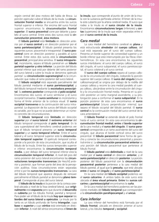 Cabeza 259
región central del área motora del habla de Broca. La
porción opercular cubre el lóbulo de la ínsula. La circun-
volución frontal media se encuentra entre los surcos
frontal superior e inferior. Por encima del surco frontal
superior encontramos la cirucunvolución frontal
superior. El surco precentral corre por delante y para-
lelo al surco central. Entre estos dos surcos está la cir-
cunvolución precentral, área motora.
El lóbulo parietal está limitado en dirección ante-
rior por el surco central y en dirección posterior por el
surco parietooccipital. El lóbulo parietal presenta los
siguientes surcos: poscentral e intraparietal. El surco pos-
central corre en dirección posterior y paralelo al surco
central. Entre estos dos surcos está la circunvolución
poscentral, principal área sensitiva. El surco intraparie-
tal, inconstante, separa el lóbulo parietal en un lóbulo
parietal superior y otro inferior. La porción del lóbulo
parietal inferior que está por delante del ramo posterior
del surco lateral y cubre la ínsula se denomina opérculo
parietal. La circunvolución supramarginal es la circun-
volución que rodea al ramo posterior del surco lateral.
El lóbulo occipital está separado parcialmente del
lóbulo parietal mediante el surco parietooccipital, y
del lóbulo temporal mediante la escotadura preoccipi-
tal. Su extremo posterior corresponde al polo occipital.
Encontramos dos surcos: el surco semilunar y el surco
occipital transverso. El surco semilunar es inconstante y
forma el límite anterior de la corteza visual. El surco
occipital transverso es la continuación del surco intra-
parietal. La disposición de los surcos del lóbulo occipital
es variable, por lo que no se puede determinar un núme-
ro concreto de circunvoluciones.
El lóbulo temporal está limitado en dirección
superior por el surco lateral. El extremo anterior del
lóbulo temporal corresponde al polo temporal. En la
cara superolateral del hemisferio cerebral podemos ver
que el lóbulo temporal presenta un surco temporal
superior y un surco temporal inferior. Entre el surco
lateral y el surco temporal superior está la circunvolu-
ción temporal superior. El opérculo temporal corres-
ponde a la porción de esta circunvolución, que oculta al
lóbulo de la ínsula. Entre los surcos temporales superior
e inferior encontramos la circunvolución temporal
media, y por debajo del surco temporal inferior está la
circunvolución temporal inferior. A nivel del piso del
ramo posterior del surco lateral encontramos las circun-
voluciones temporales transversas [de Heschl] ante-
rior y posterior, que forman parte del área de la percep-
ción auditiva. Estas circunvoluciones están separadas
entre sí por los surcos temporales transversos. La cara
del lóbulo temporal que aparece después de remover
parcialmente el lóbulo parietal se denomina plano tem-
poral. Corresponde al piso del surco lateral.
El lóbulo de la ínsula es la porción de la corteza cere-
bral ubicada a nivel de la fosa cerebral lateral, que origi-
nalmente está expuesta pero que durante el desarrollo
es cubierta por los lóbulos frontal, parietal y temporal.
Para poder ver el lóbulo de la ínsula hay que separar los
bordes del surco lateral u opérculos. La ínsula por lo
tanto es un lóbulo profundo de forma triangular, cuya
base es superior y cuyo vértice está orientado en direc-
ción inferior. A nivel del vértice encontramos el limen de
la ínsula, que corresponde al punto de unión de la ínsu-
la con la sustancia perforada anterior. El limen de la ínsu-
la está cubierto por la arteria cerebral media. El surco que
rodea a la ínsula es el surco circular de la ínsula.
Encontramos circunvoluciones largas (inferiores) y cor-
tas (superiores) de la ínsula que están separadas entre sí
por el surco central de la ínsula.
Cara medial
La cara medial del hemisferio cerebral es plana y
está estructurada alrededor del cuerpo calloso, del
cual está separada por el surco del cuerpo calloso.
Presenta un borde superior de convexidad superior y un
borde inferior que está interrumpido por las fibras inter-
hemisféricas. En esta cara encontramos los siguientes
surcos interlobares: el surco del cuerpo calloso, el surco
del cíngulo, el surco subparietal, el surco parietooccipi-
tal, el surco colateral y el surco central.
El surco del cuerpo calloso separa al cuerpo callo-
so de la circunvolución del cíngulo, rodeando la porción
superior del cuerpo calloso. El surco del cíngulo [cisura
callosomarginal] se origina por debajo de la rodilla del
cuerpo calloso y recorre la cara medial paralelo al cuer-
po calloso, ubicándose entre la circunvolución del cíngu-
lo y la circunvolución frontal media. Presenta en su por-
ción posterior un ramo marginal ascendente, y su pro-
longación pasa a conformar el surco subparietal. En la
porción posterior de esta cara encontramos el surco
parietooccipital [cisura perpendicular interna] que
separa el lóbulo occipital del lóbulo parietal. El surco
central es la continuación medial del surco central de la
cara anterolateral.
El lóbulo frontal se extiende desde el polo frontal
hasta el surco central. En esta cara encontramos la cir-
cunvolución frontal medial, entre el borde superior
de la cara medial y el surco del cíngulo. El surco para-
central corresponde a un ramo ascendente del surco del
cíngulo, que alcanza el borde cortical cerca del surco
precentral. El lóbulo paracentral tiene forma de gan-
cho y conecta las circunvoluciones precentral y poscen-
tral entre sí. La circunvolución paracentral anterior es
una porción del lóbulo paracentral que pertenece al
lóbulo frontal.
El lóbulo parietal está delimitado a nivel de la cara
medial por el surco central en dirección anterior, y el
surco parietooccipital en dirección posterior. La porción
posterior del lóbulo paracentral con la circunvolución
paracentral posterior pertenece a la cara medial del
lóbulo parietal, al igual que la precuña, que está ubicada
entre el surco del cíngulo y el surco parietooccipital.
En la cara medial del lóbulo occipital podemos ver
el surco calcarino. A ambos lados de este surco está
ubicada el área visual primaria. Entre los surcos cal-
carino y parietooccipital encontramos la cuña.
En la cara medial del hemisferio podemos ver las por-
ciones mediales del lóbulo temporal que corresponden
a la circunvolución parahipocampal y al uncus.
Cara inferior
La cara inferior del hemisferio está formada por el
lóbulo frontal, ubicado en dirección anterior al surco
lateral, y los lóbulos temporal y occipital.
b027-03.qxd 7/12/11 2:37 PM Page 259
ERRNVPHGLFRVRUJ
 