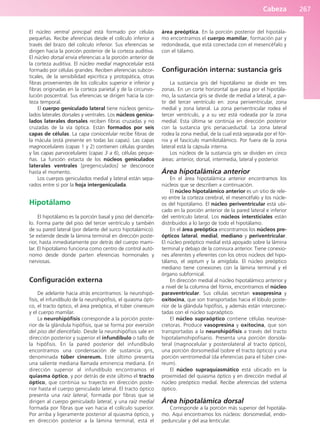 Cabeza 267
El núcleo ventral principal está formado por células
pequeñas. Recibe aferencias desde el colículo inferior a
través del brazo del colículo inferior. Sus eferencias se
dirigen hacia la porción posterior de la corteza auditiva.
El núcleo dorsal envía eferencias a la porción anterior de
la corteza auditiva. El núcleo medial magnocelular está
formado por células grandes. Reciben aferencias subcor-
ticales, de la sensibilidad epicrítica y protopática, otras
fibras provenientes de los colículos superior e inferior y
fibras originadas en la corteza parietal y de la circunvo-
lución poscentral. Sus eferencias se dirigen hacia la cor-
teza temporal.
El cuerpo geniculado lateral tiene núcleos genicu-
lados laterales dorsales y ventrales. Los núcleos genicu-
lados laterales dorsales reciben fibras cruzadas y no
cruzadas de la vía óptica. Están formados por seis
capas de células. La capa coniocelular recibe fibras de
la mácula (está presente en todas las capas). Las capas
magnocelulares (capas 1 y 2) contienen células grandes
y las capas parvocelulares (capas 3 a 6), células peque-
ñas. La función extacta de los núcleos geniculados
laterales ventrales [pregeniculados] se desconoce
hasta el momento.
Los cuerpos geniculados medial y lateral están sepa-
rados entre sí por la hoja intergeniculada.
Hipotálamo
El hipotálamo es la porción basal y piso del diencéfa-
lo. Forma parte del piso del tercer ventrículo y también
de su pared lateral (por delante del surco hipotalámico).
Se extiende desde la lámina terminal en dirección poste-
rior, hasta inmediatamente por detrás del cuerpo mami-
lar. El hipotálamo funciona como centro de control autó-
nomo desde donde parten eferencias hormonales y
nerviosas.
Configuración externa
De adelante hacia atrás encontramos: la neurohipó-
fisis, el infundíbulo de la neurohipófisis, el quiasma ópti-
co, el tracto óptico, el área preóptica, el túber cinereum
y el cuerpo mamilar.
La neurohipófisis corresponde a la porción poste-
rior de la glándula hipófisis, que se forma por eversión
del piso del diencéfalo. Desde la neurohipófisis sale en
dirección posterior y superior el infundíbulo o tallo de
la hipófisis. En la pared posterior del infundíbulo
encontramos una condensación de sustancia gris,
denominada túber cinereum. Este último presenta
una saliente mediana llamada eminencia mediana. En
dirección superior al infundíbulo encontramos el
quiasma óptico, y por detrás de este último el tracto
óptico, que continúa su trayecto en dirección poste-
rior hasta el cuerpo geniculado lateral. El tracto óptico
presenta una raíz lateral, formada por fibras que se
dirigen al cuerpo geniculado lateral, y una raíz medial
formada por fibras que van hacia el colículo superior.
Por arriba y ligeramente posterior al quiasma óptico, y
en dirección posterior a la lámina terminal, está el
área preóptica. En la porción posterior del hipotála-
mo encontramos el cuerpo mamilar, formación par y
redondeada, que está conectada con el mesencéfalo y
con el tálamo.
Configuración interna: sustancia gris
La sustancia gris del hipotálamo se divide en tres
zonas. En un corte horizontal que pasa por el hipotála-
mo, la sustancia gris se divide de medial a lateral, a par-
tir del tercer ventrículo en: zona periventricular, zona
medial y zona lateral. La zona periventricular rodea el
tercer ventrículo, y a su vez está rodeada por la zona
medial. Esta última se continúa en dirección posterior
con la sustancia gris periacueductal. La zona lateral
rodea la zona medial, de la cual está separada por el fór-
nix y el fascículo mamilotalámico. Por fuera de la zona
lateral está la cápsula interna.
Los núcleos de la sustancia gris se dividen en cinco
áreas: anterior, dorsal, intermedia, lateral y posterior.
Área hipotalámica anterior
En el área hipotalámica anterior encontramos los
núcleos que se describen a continuación.
El núcleo hipotalámico anterior es un sitio de rele-
vo entre la corteza cerebral, el mesencéfalo y los núcle-
os del hipotálamo. El núcleo periventricular está ubi-
cado en la porción anterior de la pared lateral e inferior
del ventrículo lateral. Los núcleos intersticiales están
distribuidos a lo largo de todo el hipotálamo.
En el área preóptica encontramos los núcleos pre-
ópticos lateral, medial, mediano y periventricular.
El núcleo preóptico medial está apoyado sobre la lámina
terminal y debajo de la comisura anterior. Tiene conexio-
nes aferentes y eferentes con los otros núcleos del hipo-
tálamo, el septum y la amígdala. El núcleo preóptico
mediano tiene conexiones con la lámina terminal y el
órgano subfornical.
En dirección medial al núcleo hipotalámico anterior y
a nivel de la columna del fórnix, encontramos el núcleo
paraventricular. Sus células secretan vasopresina y
oxitocina, que son transportadas hacia el lóbulo poste-
rior de la glándula hipófisis, y además están interconec-
tadas con el núcleo supraóptico.
El núcleo supraóptico contiene células neurose-
cretoras. Produce vasopresina y oxitocina, que son
transportadas a la neurohipófisis a través del tracto
hipotalamohipofisario. Presenta una porción dorsola-
teral (magnocelular y posterolateral al tracto óptico),
una porción dorsomedial (sobre el tracto óptico) y una
porción ventromedial (da eferencias para el túber cine-
reum).
El núcleo supraquiasmático está ubicado en la
proximidad del quiasma óptico y en dirección medial al
núcleo preóptico medial. Recibe aferencias del sistema
óptico.
Área hipotalámica dorsal
Corresponde a la porción más superior del hipotála-
mo. Aquí encontramos los núcleos: dorsomedial, endo-
peduncular y del asa lenticular.
b027-03.qxd 7/12/11 2:37 PM Page 267
ERRNVPHGLFRVRUJ
 