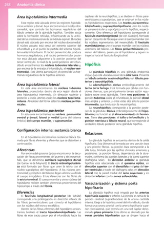 Anatomía clínica
268
Área hipotalámica intermedia
Esta región está ubicada entre las regiones hipotalá-
micas anterior y dorsal. Aquí encontramos el núcleo dor-
somedial, que controla las hormonas reguladoras del
lóbulo anterior de la glándula hipófisis. También actúa
sobre la formación reticular, influenciando así la activi-
dad de las motoneuronas de la médula espinal. El núcleo
dorsal está ubicado por encima del núcleo dorsomedial.
El núcleo arcuato está cerca del extremo superior del
infundíbulo y es el punto de partida del sistema hipotá-
lamo-adenohipofisario. El núcleo periventricular produce
hormonas reguladoras, y el núcleo periventricular poste-
rior está ubicado adyacente a la porción posterior del
tercer ventrículo. A nivel de la pared posterior del infun-
díbulo encontramos los núcleos tuberales laterales y,
por encima de la entrada al infundíbulo, el núcleo ven-
tromedial. Este último participa en el control de las hor-
monas reguladoras de la hipófisis anterior.
Área hipotalámica lateral
En esta área encontramos los núcleos tuberales
laterales, proyectados dentro de esta región desde el
área hipotalámica intermedia. En dirección superior y
posterior a estos últimos están los núcleos tuberoma-
milares. Alrededor del fórnix están los núcleos perifor-
nicales.
Área hipotalámica posterior
En esta área encontramos los núcleos: premamilar
ventral y dorsal, lateral y medial (parte del sistema
límbico) del cuerpo mamilar, y supramamilar.
Configuración interna: sustancia blanca
En el hipotálamo encontramos sustancia blanca for-
mada por fibras aferentes y eferentes que se describen a
continuación.
Aferencias
Por encima del quiasma óptico encontramos la decu-
sación de fibras provenientes del puente y del mesencé-
falo, que se denomina comisura supraóptica dorsal
[de Ganser o de Meynert]. El tracto retinohipotalámi-
co está formado por fibras que unen la retina con el
núcleo supraóptico del hipotálamo. A los núcleos ven-
tromedial y preóptico del tálamo llegan aferencias desde
el cuerpo amigdalino. Estas aferencias son las fibras de
la estría terminal. El cuerpo mamilar y otros núcleos del
hipotálamo reciben también aferencias provenientes del
hipocampo a través del fórnix.
Eferencias
El fascículo longitudinal posterior [de Schütz]
corresponde a la prolongación en dirección inferior de
las fibras periventriculares que conecta el hipotálamo
con los núcleos del tronco encefálico.
Dentro de las fibras eferentes del hipotálamo encon-
tramos también el tracto hipotalamohipofisario. Las
fibras de este tracto pasan por el infundíbulo hacia los
capilares de la neurohipófisis, y se dividen en fibras para-
ventriculares y supraópticas, que se originan en los núcle-
os hipotalámicos respectivos. Los tractos paraventricu-
lohipofisario y supraopticohipofisario unen los núcle-
os paraventricular y supraóptico con la hipófisis, respecti-
vamente. Otra eferencia del hipotálamo corresponde al
fascículo mamilotegmental [de von Gudden], formado
por un conjunto de fibras que unen el cuerpo mamilar con
los núcleos tegmentarios del mesencéfalo. El fascículo
mamilotalámico une el cuerpo mamilar con los núcleos
anteriores del tálamo. Las fibras periventriculares pro-
vienen del tálamo, pasan por el hipotálamo y siguen su
trayecto hacia el fascículo longitudinal.
Hipófisis
La glándula hipófisis es una glándula endocrina
impar, que está ubicada a nivel de la silla turca. Presenta
un lóbulo anterior o adenohipófisis y un lóbulo pos-
terior o neurohipófisis.
La adenohipófisis deriva embriológicamente del
techo de la faringe. Está formada por células con fun-
ciones diversas, que principalmente tienen acción regu-
ladora sobre otras glándulas. Tiene tres porciones: la
porción tuberosa cubre el infundíbulo, la porción distal
más amplia y anterior, y entre estas dos está la porción
intermedia, que limita con la neurohipófisis.
La neurohipófisis corresponde a la porción poste-
rior de la glándula. Deriva embriológicamente del hipo-
tálamo y su función es el almacenamiento de hormo-
nas. Tiene dos porciones: el tallo o infundíbulo y la
porción nerviosa o lóbulo neural, que corresponde al
verdadero lóbulo posterior de la glándula hipófisis.
Relaciones
La glándula hipófisis se encuentra dentro de la celda
hipofisaria. Esta última está formada por una porción ósea
y una porción fibrosa. La porción ósea corresponde a la
silla turca, limitada por las apófisis clinoides anteriores y
posteriores. La porción fibrosa, dependencia de la dura-
madre, conforma las paredes laterales y la pared superior
(diafragma selar). En dirección anterior la glándula
hipófisis está relacionada con el quiasma óptico, en
dirección superior con el diencéfalo y el piso del ter-
cer ventrículo a través del diafragma selar, en dirección
lateral con la pared medial del seno cavernoso y en
dirección inferior con los senos esfenoidales.
Vascularización y sistema porta
hipofisario
La glándula hipófisis está irrigada por las arterias
hipofisaria superior e inferior. La primera es rama de la
porción cerebral (supraclinoidea) de la arteria carótida
interna. Llega a la hipófisis a nivel del infundíbulo, donde
forma una corona arterial con la arteria hipofisaria supe-
rior contralateral, que termina en una red capilar deno-
minada plexo primario. Este último es drenado por las
venas portales hipofisarias que se dirigen hacia el
b027-03.qxd 7/12/11 2:37 PM Page 268
ERRNVPHGLFRVRUJ
 
