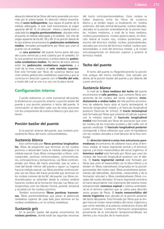 Cabeza 273
elevación lateral de las fibras del tracto piramidal y es reco-
rrido por la arteria basilar. En dirección inferior encontra-
mos el surco bulbopontino, que separa el puente de la
médula oblongada. A este nivel encontramos el origen
aparente del NC VI. En dirección inferior y lateral están a
cada lado los ángulos pontocerebelosos, ubicados entre
el puente, la médula oblongada y el cerebelo. Son sitio de
origen aparente de los NC VII y VIII. En la porción lateral de
la cara anterior encontramos los pedúnculos cerebelosos
medios, formados principalmente por fibras que unen el
puente con el cerebelo.
La cara posterior del puente forma parte del piso
del cuarto ventrículo y está cubierta por el cerebelo. En
la cara posterior encontramos a ambos lados los pedún-
culos cerebelosos medios. Por dentro de estos últimos
están los pedúnculos cerebelosos superiores, y a
nivel de la línea mediana el velo medular superior.
Éste está formado por fibras de sustancia blanca que
unen ambos pedúnculos cerebelosos superiores y que se
continúa en dirección superior con el frenillo del velo,
a través del cual se une a su vez con la placa tectal.
Configuración interna
Cuando realizamos un corte transversal del puente,
la dividimos en una porción anterior o porción basilar del
puente y una porción posterior o techo del puente. A
continuación se describen cada una de estas porciones
con los componentes de sustancia blanca y gris que con-
tienen.
Porción basilar del puente
Es la porción anterior del puente, que contiene prin-
cipalmente fibras del tracto corticocerebeloso.
Sustancia blanca
Está conformada por fibras pontinas longitudina-
les, fibras de proyección que terminan en los núcleos
pontinos o descienden hasta la médula oblongada o la
médula espinal. Estas fibras corresponden a fibras: corti-
coespinales, pontinas corticonucleares, corticorreticula-
res, corticopontinas y tectopontinas. Las fibras corticoes-
pinales son fibras del tracto piramidal, que se unen a
nivel del borde inferior del puente y siguen su trayecto
hacia la médula espinal. Las fibras pontinas corticonucle-
ares son las fibras del tracto piramidal que terminan en
los núcleos motores de los NC del puente. Las fibras cor-
ticorreticulares se extienden desde la corteza cerebral
hasta los núcleos de la formación reticular. Las fibras cor-
ticopontinas unen los lóbulos frontal, parietal, temporal
y occipital con los núcleos pontinos.
También encontramos fibras pontinas transver-
sas, fibras pontocerebelosas que pasan al pedúnculo
cerebeloso superior de cada lado para terminar en los
núcleos cerebelosos y en la corteza cerebelosa.
Sustancia gris
En la porción basilar del puente encontramos los
núcleos pontinos, donde están las segundas neuronas
del tracto corticopontocerebeloso. Estos núcleos se
hallan dispersos entre las fibras de sustancia
blanca y se dividen según su localización en: núcleos
anteriores, del lado ventral del puente; núcleos laterales,
ubicados en la porción anterolateral de la porción basi-
lar; núcleos medianos, a nivel de la línea mediana;
núcleos paramedianos; núcleos pedunculares, en direc-
ción lateral al núcleo rojo; núcleos posteriores, por
encima del lemnisco medial; núcleos posterolaterales,
ubicados por encima del lemnisco medial; núcleos pos-
teromediales, a nivel del lemnisco medial, y el núcleo
reticulotegmental, en dirección superior y anterior al
lemnisco medial.
Techo del puente
El techo del puente es filogenéticamente la porción
más antigua del tronco encefálico. Está ubicado por
detrás de la porción basilar del puente y por delante del
cuarto ventrículo.
Sustancia blanca
A nivel de la línea mediana del techo del puente
encontramos el rafe pontino, que contiene fibras pro-
venientes de los núcleos del nervio trigémino. Inme-
diatamente a ambos lados del rafe pontino encontra-
mos de adelante hacia atrás el tracto tectoespinal, el
fascículo longitudinal medial y el fascículo longitudinal
posterior [fascículo de Schütz]. El tracto tectoespinal
está formado por fibras que conectan el colículo superior
con la médula espinal. El fascículo longitudinal
medial está formado por fibras de asociación que unen
los núcleos de los músculos oculares y del cuello con el
aparato vestibular. El fascículo longitudinal posterior
corresponde a fibras eferentes que unen el hipotálamo
con los núcleos ubicados a nivel del piso de la fosa rom-
boidal.
En dirección lateral a estas tres estructuras para-
medianas encontramos de adelante hacia atrás el lem-
nisco medial, el tracto tegmental central y el lemnisco
espinal, y el tracto mesencefálico del nervio trigémino. El
lemnisco medial está formado por fibras que unen los
núcleos del fascículo longitudinal posterior con el tála-
mo. El tracto tegmental central está formado por
fibras que unen el mesencéfalo con la oliva inferior y se
dividen en fibras rubroolivares (originadas en la porción
parvocelular del núcleo rojo), fibras anuloolivares (prove-
nientes del telencéfalo, diencéfalo, mesencéfalo y de la
formación reticular) y fibras cerebeloolivares (fibras cru-
zadas del núcleo dentado). El tracto tegmental central es
el tracto descendente más importante del sistema motor
extrapiramidal. Lemnisco espinal o sistema anterolate-
ral es el término colectivo que se utiliza para describir
varios grupos de fibras. El tracto mesencefálico del
nervio trigémino está ubicado en la porción posterior
del techo del puente. Está formado por fibras que se diri-
gen hacia el núcleo mesencefálico del nervio trigémino y
que corren laterales al acueducto cerebral por el piso del
cuarto ventrículo. Conducen información propioceptiva
proveniente de la articulación temporomandibular, los
dientes y los músculos de la masticación.
b027-03.qxd 7/12/11 2:37 PM Page 273
ERRNVPHGLFRVRUJ
 