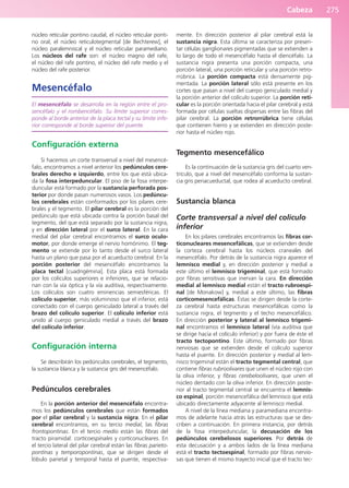 Cabeza 275
núcleo reticular pontino caudal, el núcleo reticular ponti-
no oral, el núcleo reticulotegmental [de Bechterew], el
núcleo paralemniscal y el núcleo reticular paramediano.
Los núcleos del rafe son: el núcleo magno del rafe,
el núcleo del rafe pontino, el núcleo del rafe medio y el
núcleo del rafe posterior.
Mesencéfalo
El mesencéfalo se desarrolla en la región entre el pro-
sencéfalo y el rombencéfalo. Su límite superior corres-
ponde al borde anterior de la placa tectal y su límite infe-
rior corresponde al borde superior del puente.
Configuración externa
Si hacemos un corte transversal a nivel del mesencé-
falo, encontramos a nivel anterior los pedúnculos cere-
brales derecho e izquierdo, entre los que está ubica-
da la fosa interpeduncular. El piso de la fosa interpe-
duncular está formado por la sustancia perforada pos-
terior por donde pasan numerosos vasos. Los pedúncu-
los cerebrales están conformados por los pilares cere-
brales y el tegmento. El pilar cerebral es la porción del
pedúnculo que está ubicada contra la porción basal del
tegmento, del que está separado por la sustancia nigra,
y en dirección lateral por el surco lateral. En la cara
medial del pilar cerebral encontramos el surco oculo-
motor, por donde emerge el nervio homónimo. El teg-
mento se extiende por lo tanto desde el surco lateral
hasta un plano que pasa por el acueducto cerebral. En la
porción posterior del mesencéfalo encontramos la
placa tectal [cuadrigémina]. Esta placa está formada
por los colículos superiores e inferiores, que se relacio-
nan con la vía óptica y la vía auditiva, respectivamente.
Los colículos son cuatro eminencias semiesféricas. El
colículo superior, más voluminoso que el inferior, está
conectado con el cuerpo geniculado lateral a través del
brazo del colículo superior. El colículo inferior está
unido al cuerpo geniculado medial a través del brazo
del colículo inferior.
Configuración interna
Se describirán los pedúnculos cerebrales, el tegmento,
la sustancia blanca y la sustancia gris del mesencéfalo.
Pedúnculos cerebrales
En la porción anterior del mesencéfalo encontra-
mos los pedúnculos cerebrales que están formados
por el pilar cerebral y la sustancia nigra. En el pilar
cerebral encontramos, en su tercio medial, las fibras
frontopontinas. En el tercio medio están las fibras del
tracto piramidal: corticoespinales y corticonucleares. En
el tercio lateral del pilar cerebral están las fibras parieto-
pontinas y temporopontinas, que se dirigen desde el
lóbulo parietal y temporal hasta el puente, respectiva-
mente. En dirección posterior al pilar cerebral está la
sustancia nigra. Esta última se caracteriza por presen-
tar células ganglionares pigmentadas que se extienden a
lo largo de todo el mesencéfalo hasta el diencéfalo. La
sustancia nigra presenta una porción compacta, una
porción lateral, una porción reticular y una porción retro-
rrúbrica. La porción compacta está densamente pig-
mentada. La porción lateral sólo está presente en los
cortes que pasan a nivel del cuerpo geniculado medial y
la porción anterior del colículo superior. La porción reti-
cular es la porción orientada hacia el pilar cerebral y está
formada por células sueltas dispersas entre las fibras del
pilar cerebral. La porción retrorrúbrica tiene células
que contienen hierro y se extienden en dirección poste-
rior hasta el núcleo rojo.
Tegmento mesencefálico
Es la continuación de la sustancia gris del cuarto ven-
trículo, que a nivel del mesencéfalo conforma la sustan-
cia gris periacueductal, que rodea al acueducto cerebral.
Sustancia blanca
Corte transversal a nivel del colículo
inferior
En los pilares cerebrales encontramos las fibras cor-
ticonucleares mesencefálicas, que se extienden desde
la corteza cerebral hasta los núcleos craneales del
mesencéfalo. Por detrás de la sustancia nigra aparece el
lemnisco medial y, en dirección posterior y medial a
este último el lemnisco trigeminal, que está formado
por fibras sensitivas que inervan la cara. En dirección
medial al lemnisco medial están el tracto rubroespi-
nal [de Monakow] y, medial a este último, las fibras
corticomesencefálicas. Éstas se dirigen desde la corte-
za cerebral hasta estructuras mesencefálicas como la
sustancia nigra, el tegmento y el techo mesencefálico.
En dirección posterior y lateral al lemnisco trigemi-
nal encontramos el lemnisco lateral (vía auditiva que
se dirige hacia el colículo inferior) y por fuera de éste el
tracto tectopontino. Este último, formado por fibras
nerviosas que se extienden desde el colículo superior
hasta el puente. En dirección posterior y medial al lem-
nisco trigeminal están el tracto tegmental central, que
contiene fibras rubroolivares que unen el núcleo rojo con
la oliva inferior, y fibras cerebeloolivares, que unen el
núcleo dentado con la oliva inferior. En dirección poste-
rior al tracto tegmental central se encuentra el lemnis-
co espinal, porción mesencefálica del lemnisco que está
ubicado directamente adyacente al lemnisco medial.
A nivel de la línea mediana y paramediana encontra-
mos de adelante hacia atrás las estructuras que se des-
criben a continuación. En primera instancia, por detrás
de la fosa interpeduncular, la decusación de los
pedúnculos cerebelosos superiores. Por detrás de
esta decusación y a ambos lados de la línea mediana
está el tracto tectoespinal, formado por fibras nervio-
sas que tienen el mismo trayecto inicial que el tracto tec-
b027-03.qxd 7/12/11 2:37 PM Page 275
ERRNVPHGLFRVRUJ
 