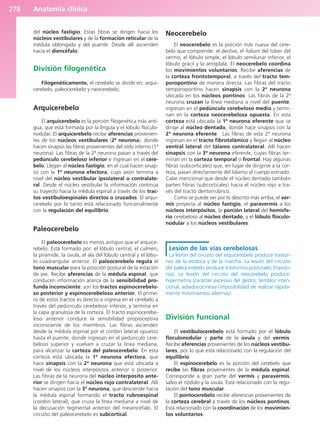 Anatomía clínica
278
del núcleo fastigio. Estas fibras se dirigen hacia los
núcleos vestibulares y de la formación reticular de la
médula oblongada y del puente. Desde allí ascienden
hacia el diencéfalo.
División filogenética
Filogenéticamente, el cerebelo se divide en: arqui-
cerebelo, paleocerebelo y neocerebelo.
Arquicerebelo
El arquicerebelo es la porción filogenética más anti-
gua, que está formada por la língula y el lóbulo floculo-
nodular. El arquicerebelo recibe aferencias provenien-
tes de los núcleos vestibulares (2ª neurona), donde
hacen sinapsis las fibras provenientes del oído interno (1ª
neurona). Las fibras de la 2ª neurona pasan a través del
pedúnculo cerebeloso inferior e ingresan en el cere-
belo. Llegan al núcleo fastigio, en el cual hacen sinap-
sis con la 1ª neurona efectora, cuyo axón termina a
nivel del núcleo vestibular ipsolateral o contralate-
ral. Desde el núcleo vestibular la información continúa
su trayecto hacia la médula espinal a través de los trac-
tos vestibuloespinales directos o cruzados. El arqui-
cerebelo por lo tanto está relacionado funcionalmente
con la regulación del equilibrio.
Paleocerebelo
El paleocerebelo es menos antiguo que el arquice-
rebelo. Está formado por: el lóbulo central, el culmen,
la pirámide, la úvula, el ala del lóbulo central y el lóbu-
lo cuadrangular anterior. El paleocerebelo regula el
tono muscular para la posición postural de la estación
de pie. Recibe aferencias de la médula espinal, que
conducen información acerca de la sensibilidad pro-
funda inconsciente: son los tractos espinocerebelo-
so posterior y espinocerebeloso anterior. El prime-
ro de estos tractos es directo e ingresa en el cerebelo a
través del pedúnculo cerebeloso inferior, y termina en
la capa granulosa de la corteza. El tracto espinocerebe-
loso anterior conduce la sensibilidad propioceptiva
inconsciente de los miembros. Las fibras ascienden
desde la médula espinal por el cordón lateral opuesto
hasta el puente, donde ingresan en el pedúnculo cere-
beloso superior y vuelven a cruzar la línea mediana,
para alcanzar la corteza del paleocerebelo. En esta
corteza está ubicada la 1ª neurona efectora, que
hace sinapsis con la 2ª neurona que está ubicada a
nivel de los núcleos interpósitos anterior o posterior.
Las fibras de la neurona del núcleo interpósito ante-
rior se dirigen hacia el núcleo rojo contralateral. Allí
hacen sinapsis con la 3ª neurona, que desciende hacia
la médula espinal formando el tracto rubroespinal
(cordón lateral), que cruza la línea mediana a nivel de
la decusación tegmental anterior del mesencéfalo. El
circuito del paleocerebelo es subcortical.
Neocerebelo
El neocerebelo es la porción más nueva del cere-
belo que comprende: el declive, el folium del túber del
vermis, el lóbulo simple, el lóbulo semilunar inferior, el
lóbulo grácil y la amígdala. El neocerebelo coordina
los movimientos voluntarios. Recibe aferencias de
la corteza frontotemporal, a través del tracto tem-
poropontino de manera directa. Las fibras del tracto
temporopontino hacen sinapsis con la 2ª neurona
ubicada en los núcleos pontinos. Las fibras de la 2ª
neurona cruzan la línea mediana a nivel del puente,
ingresan en el pedúnculo cerebeloso medio y termi-
nan en la corteza neocerebelosa opuesta. En esta
corteza está ubicada la 1ª neurona eferente que se
dirige al núcleo dentado, donde hace sinapsis con la
2ª neurona eferente. Las fibras de esta 2ª neurona
ingresan en el tracto fibrotalámico y llegan al núcleo
ventral lateral del tálamo contralateral. Allí hacen
sinapsis con la 3ª neurona eferente, cuyas fibras ter-
minan en la corteza temporal o frontal. Hay algunas
fibras (subcorticales) que, en lugar de dirigirse a la cor-
teza, pasan directamente del tálamo al cuerpo estriado.
Cabe mencionar que desde el núcleo dentado también
parten fibras (subcorticales) hacia el núcleo rojo a tra-
vés del tracto dentorrúbrico.
Como se puede ver por lo descrito más arriba, el ver-
mis proyecta al núcleo fastigio, el paravermis a los
núcleos interpósitos, la porción lateral del hemisfe-
rio cerebeloso al núcleo dentado, y el lóbulo floculo-
nodular a los núcleos vestibulares.
Lesión de las vías cerebelosas
La lesión del circuito del arquicerebelo produce trastor-
nos de la estática y de la marcha. La lesión del circuito
del paleocerebelo produce trastornos posturales (hipoto-
nía). La lesión del circuito del neocerebelo produce:
hipermetría (carácter excesivo del gesto), temblor inten-
cional, adiadococinesia (imposibilidad de realizar rápida-
mente movimientos alternos).
División funcional
El vestibulocerebelo está formado por el lóbulo
floculonodular y parte de la úvula y del vermis.
Recibe aferencias provenientes de los núcleos vestibu-
lares, por lo que está relacionado con la regulación del
equilibrio.
El espinocerebelo es la porción del cerebelo que
recibe las fibras provenientes de la médula espinal.
Corresponde a gran parte del vermis y paravermis,
salvo el nódulo y la úvula. Está relacionado con la regu-
lación del tono muscular.
El pontocerebelo recibe aferencias provenientes de
la corteza cerebral a través de los núcleos pontinos.
Está relacionado con la coordinación de los movimien-
tos voluntarios.
b027-03.qxd 7/12/11 2:37 PM Page 278
ERRNVPHGLFRVRUJ
 