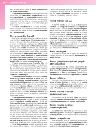 Anatomía clínica
284
Aquí se divide en dos ramos: el nervio supraorbitario
y el nervio supratroclear.
El nervio supraorbitario es el ramo más grueso del
frontal. Pasa por la escotadura supraorbitaria, donde
da un ramo lateral y un ramo medial que pasan por la
porción lateral y medial de la escotadura supraorbitaria,
respectivamente. Van a dar la inervación sensitiva de la
conjuntiva, el párpado superior, el seno frontal y la piel
de la frente.
El nervio supratroclear es un ramo pequeño y
medial. Se dirige hacia el ángulo superior y medial de la
cavidad orbitaria, donde se divide en ramos ascenden-
tes y descendentes.
Nervio nasociliar [nasal]
Es el ramo más medial del nervio oftálmico. Se origi-
na a nivel de la pared lateral del seno cavernoso, en
la cual es el nervio más inferior de todos los nervios que
se ubican en esta pared. Luego pasa por la fisura orbi-
taria superior, a través del anillo tendinoso común,
e ingresa en la órbita. Inicialmente está ubicado por
debajo del músculo recto superior y luego se ubica entre
los músculos oblicuo superior y recto medial, para termi-
nar finalmente en la pared medial de la órbita, donde
se divide en sus ramos terminales: el nervio etmoidal
anterior y el nervio infratroclear. En su trayecto emite
dos ramos colaterales: el ramo comunicante para el
ganglio ciliar y el nervio etmoidal posterior.
El ramo comunicante para el ganglio ciliar está
formado por fibras sensitivas que pasan a través del gan-
glio ciliar del ojo hacia el nervio nasociliar. Este ramo emite
dos pequeños ramos, largos, que llevan fibras simpáticas
para el músculo dilatador de la pupila y fibras aferentes
provenientes del iris, del cuerpo ciliar y de la córnea: son
los nervios ciliares largos.
El nervio etmoidal posterior emerge en la porción
posterior de la pared medial de la órbita, en la que
pasa por el foramen etmoidal posterior. Atraviesa el
conducto etmoidal posterior, ingresa en la fosa cra-
neal anterior y vuelve a salir de ella atravesando los
forámenes de la lámina cribosa, para finalmente ingre-
sar en la cavidad nasal. Da la inervación sensitiva de la
mucosa del seno esfenoidal y de las celdillas etmoidales
posteriores. Recibe un ramo meníngeo anterior, que
provee la inervación sensitiva de la porción anterior de la
fosa craneal anterior.
El nervio etmoidal anterior pasa a través del fora-
men etmoidal anterior (ubicado en la cara medial de la
órbita), al conducto etmoidal anterior, y de allí a la
fosa craneal anterior, donde atraviesa la lámina cribo-
sa para entrar a la cavidad nasal. Aquí da ramos nasa-
les internos y un nervio nasal externo. Los ramos nasa-
les internos se dividen en ramos nasales laterales, que
inervan la pared lateral de la naríz y ramos nasales media-
les, que inervan el tabique nasal. Los ramos nasales inter-
nos, por lo tanto, dan la inervación sensitiva de la muco-
sa nasal que está ubicada por delante de los cornetes
nasales y de la porción anterior del tabique nasal. El ner-
vio nasal externo inerva la piel de la punta de la nariz y
del ala nasal. Atraviesa el surco etmoidal del hueso nasal.
El nervio infratroclear pasa por debajo de la polea
del músculo oblicuo superior a nivel del ángulo superior
y medial de la cavidad orbitaria. Inerva la mucosa del
saco y de la carúncula lagrimal, y la piel que está alrede-
dor. Da ramos palpebrales que inervan la porción
medial de los párpados superior e inferior.
Nervio maxilar (NC V2)
El nervio maxilar es un nervio exclusivamente
sensitivo y es el segundo ramo del nervio trigémino.
Desde su origen a nivel del ganglio del nervio trigémi-
no se dirige hacia el foramen redondo, pasando en
dirección lateral al seno cavernoso. Pasa por el foramen
redondo e ingresa en la fosa pterigopalatina. Se ubica
en la parte superior de la fosa por encima de la arte-
ria maxilar. Luego pasa por la fisura orbitaria inferior
e ingresa en la órbita, donde recorre el surco y el con-
ducto infraorbitarios, y finalmente el foramen
infraorbitario por el que pasa a la cara. En su trayecto
da numerosos ramos colaterales y un ramo terminal
que corresponde al nervio infraorbitario.
Ramo meníngeo
Es un ramo colateral que se origina por delante del
foramen redondo. Se dirige hacia la duramadre de la
región frontal.
Ramos ganglionares para el ganglio
pterigopalatino
Son habitualmente dos ramos provenientes del
ganglio pterigopalatino, que llevan fibras parasimpá-
ticas. Inervan las glándulas lagrimales y las pequeñas
glándulas de la nariz y del paladar. También llevan
fibras sensitivas provenientes del periostio de la órbita.
Ramos orbitarios
Son dos o tres pequeños ramos que pasan por la
fisura orbitaria inferior e ingresan en la órbita.
Atraviesan la pared interna de la cavidad orbitaria y ter-
minan en las celdillas etmoidales posteriores y en el
seno esfenoidal, al que le dan la inervación sensitiva.
Ramos nasales laterales
posterosuperiores
Son alrededor de 10 pequeños ramos que pasan a
través del foramen esfenopalatino hacia las celdillas
etmoidales posteriores y el cornete nasal medio.
Ramos nasales mediales
posterosuperiores
Son entre dos y tres ramos que atraviesan el fora-
men esfenopalatino para llegar a la porción superior
del tabique nasal, al que le dan la inervación sensitiva.
Nervio nasopalatino
Este nervio pasa entre el periostio y la mucosa del
tabique nasal y atraviesa el conducto incisivo hasta lle-
gar a la porción anterior de la mucosa palatina y la
encía de los dientes incisivos superiores.
b027-03.qxd 7/12/11 2:37 PM Page 284
ERRNVPHGLFRVRUJ
 