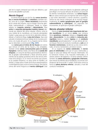 Cabeza 287
piel de la región temporal que está por delante y por
encima del pabellón auricular.
Nervio lingual
El nervio lingual es uno de los dos ramos termina-
les del nervio mandibular. Es sensitivo y también reci-
be, cerca de su origen, fibras secretoras provenientes
de la cuerda del tímpano, que se dirigen hacia las glán-
dulas submandibular y sublingual. Desde su origen
adopta un trayecto anterior y descendente. Pasa
entre los músculos pterigoideo medial y lateral, des-
ciende por delante del nervio alveolar inferior, entre la
cara medial de la mandíbula y el músculo pterigoideo
medial. Luego pasa por encima de la glándula subman-
dibular y finalmente llega al piso de la boca. Aquí está
ubicado inmediatamente por debajo de la mucosa y pró-
ximo a la muela del juicio. En su trayecto da los ramos
que se describen a continuación (fig. 3-81).
Los ramos para el istmo de las fauces son ramos
que inervan el istmo de las fauces y las amígdalas.
También emite ramos comunicantes para el nervio
hipogloso. Además recibe a las fibras de la cuerda del
tímpano, un conjunto de fibras parasimpáticas destina-
das al ganglio submandibular y fibras sensitivas prove-
nientes de las papilas gustativas de los dos tercios ante-
riores de la lengua. Es un nervio recurrente que atravie-
sa la cavidad timpánica, se ubica entre el martillo y el
estribo, y luego pasa a través de la fisura petrotimpánica
o esfenopetrosa para unirse al nervio lingual. Otro de los
ramos del nervio lingual es el nervio sublingual. Este
último pasa en dirección lateral a la glándula sublingual
para llegar a la mucosa del piso de la boca y la encía de
los dientes mandibulares anteriores. Los ramos lingua-
les son varios nervios que se origninan del nervio lingual
y que están destinados a inervar sensitiva y gustativa-
mente los dos tercios anteriores de la mucosa lingual.
Finalmente da ramos ganglionares para el ganglio
submandibular y sublingual. Los segundos son
inconstantes, al igual que el ganglio sublingual.
Nervio alveolar inferior
Éste es el ramo terminal más importante del ner-
vio mandibular. Es un nervio mixto, que contiene
fibras sensitivas y motoras. Adopta un trayecto ante-
rior y descendente. Se ubica entre los músculos pte-
rigoideos lateral y medial, ingresa en el conducto
mandibular aproximadamente 1 cm por detrás del ner-
vio lingual. Recorre el conducto mandibular y sale por el
foramen mentoniano, donde da sus dos ramos termi-
nales: el nervio mentoniano y el nervio incisivo.
En su trayecto da ramos colaterales. El nervio
para el milohioideo corre por el surco milohioideo y
luego se ubica por debajo del músculo milohioideo. Da
la inervación motora a los músculos milohioideo y al
vientre anterior del digástrico. El nervio alveolar inferior
también da ramos dentarios y gingivales inferiores,
que inervan los dientes de la mandíbula y sus encías (con
excepción de la encía del 1er
molar). Entre estos ramos se
forma el plexo dentario inferior, ubicado a nivel del
conducto mandibular.
M. estilogloso
R. linguales
N. sublingual
Ramos comunicantes
con el n. hipogloso H. hioides
M. hiogloso
N. hipogloso
Ganglio
submandibular
N. lingual
Fig. 3-81. Nervio lingual.
b027-03.qxd 7/12/11 2:37 PM Page 287
ERRNVPHGLFRVRUJ
 