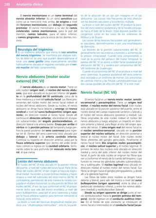 Anatomía clínica
288
El nervio mentoniano es un ramo terminal del
nervio alveolar inferior. Es un ramo sensitivo que
como ya se mencionó más arriba, se origina a nivel
del foramen mentoniano, por debajo del segundo
premolar. El nervio mentoniano a su vez da ramos
colaterales: ramos mentonianos, para la piel del
mentón; ramos labiales, para el labio inferior,
y ramos gingivales, para la encía de los dientes inci-
sivos.
Neuralgia del trigémino
Es un trastorno doloroso que afecta la raíz sensitiva
del nervio trigémino. Se manifiesta por ataques súbi-
tos de dolor en la cara, que pueden desencadenarse al
tocar una zona gatillo (área especialmente sensible)
habitualmente ubicada en regiones inervadas por el ner-
vio maxilar del lado comprometido.
Nervio abducens [motor ocular
externo] (NC VI)
El nervio abducens es un nervio motor. Tiene un
solo núcleo (origen real), el núcleo del nervio abdu-
cens, que está ubicado en la porción inferior del puen-
te en la profundidad del IV ventrículo, cerca de la
línea mediana y a nivel del colículo facial. Las fibras pro-
venientes del núcleo motor del nervio facial rodean el
núcleo del nervio abducens. Desde su núcleo, el nervio
abducens se dirige hacia delante y emerge del tronco
cerebral a nivel del surco bulbopontino (origen apa-
rente), en dirección medial al nervio facial. Desde allí
continúa en dirección anterior, ubicándose en el espa-
cio subaracnoideo del ángulo pontocerebeloso, en
dirección lateral a la arteria basilar. Cruza por arriba el
vértice de la porción petrosa del temporal y luego per-
fora la pared posterior del seno cavernoso para ingre-
sar en él. Dentro del seno cavernoso está ubicado por
debajo y lateral a la arteria carótida interna.
Continúa su trayecto en dirección anterior, pasa por la
fisura orbitaria superior (por dentro del anillo tendi-
noso común) e ingresa en la cavidad orbitaria, termi-
nando sobre la cara profunda del músculo recto late-
ral, al que inerva.
Lesión del nervio abducens
El núcleo del NC VI está ubicado en la porción inferior
del puente, a nivel del núcleo del nervio facial. Parte de las
fibras del núcleo del NC VI dan origen al fascículo logitu-
dinal medial. Ascienden y cruzan la línea mediana y hacen
sinapsis a nivel del subnúcleo del recto interno del NC III
contralateral, permitiendo de esta manera la mirada con-
jugada en el plano horizontal. La otra porción de fibras del
núcleo del NC VI son las que conforman el NC VI propia-
mente dicho que sale del tronco encefálico a nivel del
surco bulbopontino, pasa por el seno cavernoso y luego
por la fisura orbitaria superior para terminar inervando el
músculo recto externo.
La lesión a nivel del fascículo longitudinal medial pro-
duce una “oftalmoplejía internuclear”, esto es, la paráli-
sis de la aducción de un ojo con nistagmo en el ojo
abducente. Las causas más frecuentes de esta afección
son las lesiones vasculares y la esclerosis múltiple.
La lesión a nivel del núcleo del NC VI produce la pará-
lisis del recto externo ipsolateral y de la mirada conjuga-
da hacia el lado de la lesión. Estas lesiones pueden ser
congénitas como en los casos de los síndromes de
Möbius y de Duane.
Las causas de las lesiones fasciculares son generalmen-
te vasculares, desmielinizantes o por una encefalopatía
de Wernicke.
Las lesiones de la porción subaracnoidea del NC VI
generalmente son secundarias a tumores o aumentos de
la presión intracraneal. Cuando está comprometido a
nivel de la punta del peñasco del hueso temporal, la
paresia del NC VI se asocia a dolor facial ipsolateral por
afectación del NC V y sordera por compromiso del NC
VIII (síndrome de Gradenigo).
Cuando el compromiso del NC VI se produce a nivel del
seno cavernoso, la paresia ipsolateral del recto externo
está asociada a un síndrome de Horner. Los aneurismas
de carótida interna y las fístulas carotidocavernosas son
dos causas posibles de afección del NC VI a este nivel.
Nervio facial (NC VII)
El nervio facial es un nervio mixto: motor, sensiti-
vo-sensorial y parasimpático. Tiene un origen real
motor, el núcleo motor del nervio facial. Este núcleo
está ubicado en la porción posterior del puente, entre el
núcleo dorsal del cuerpo trapezoide (anterior y lateral) y
el núcleo del nervio abducens (posterior y medial). Las
fibras originadas de este núcleo rodean el núcleo del
nervio abducens y luego adoptan un trayecto en direc-
ción anterior y lateral, para llegar al sitio del origen apa-
rente del nervio. El otro origen real del nervio facial es
el núcleo sensitivo-sensorial, ubicado en la porción
superior del núcleo solitario, en dirección posterior y
lateral al núcleo motor del facial. Este núcleo recibe
fibras aferentes del ganglio geniculado. Finalmente el
nervio facial tiene dos orígenes reales parasimpáti-
cos: el núcleo salival superior y el núcleo lagrimal. El
primero de estos dos núcleos está ubicado en dirección
medial y cerca del polo inferior del núcleo motor del
facial. A partir de este núcleo se originan las fibras que
van a conformar el nervio de la cuerda del tímpano, cuya
función es inervar las glándulas salivales submandibula-
res y sublinguales. El núcleo lagrimal está ubicado en
dirección medial al núcleo motor del nervio facial. Sus
fibras se dirigen hacia el ganglio pterigopalatino, y desde
allí a la glándula lagrimal.
Las fibras de todos estos núcleos se dirigen hacia
delante y lateral, para salir del tronco a nivel del surco
bulbopontino (origen aparente), entre la oliva y el
pedúnculo cerebeloso inferior, y entre los nervios abdu-
cens (medial) y vestibulococlear (lateral).
Desde su origen aparente se dirige junto al ner-
vio vestibulococlear hacia la porción petrosa del tem-
poral, donde ingresan en el conducto auditivo inter-
no. En el fondo de este conducto se introducen (el
nervio facial e intermedio) en el conducto facial [acue-
b027-03.qxd 7/27/11 2:09 PM Page 288
ERRNVPHGLFRVRUJ
 