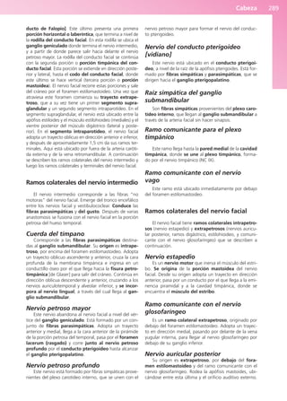 Cabeza 289
ducto de Falopio]. Este último presenta una primera
porción horizontal o laberíntica, que termina a nivel de
la rodilla del conducto facial. En esta rodilla se ubica el
ganglio geniculado donde termina el nervio intermedio,
y a partir de donde parece salir hacia delante el nervio
petroso mayor. La rodilla del conducto facial se continúa
con la segunda porción o porción timpánica del con-
ducto facial. Esta porción se extiende en dirección poste-
rior y lateral, hasta el codo del conducto facial, donde
este último se hace vertical (tercera porción o porción
mastoidea). El nervio facial recorre estas porciones y sale
del cráneo por el foramen estilomastoideo. Una vez que
atraviesa este foramen comienza su trayecto extrape-
troso, que a su vez tiene un primer segmento supra-
glandular y un segundo segmento intraparotídeo. En el
segmento supraglandular, el nervio está ubicado entre la
apófisis estiloides y el músculo estilohioideo (mediales) y el
vientre posterior del músculo digástrico (lateral y poste-
rior). En el segmento intraparotídeo, el nervio facial
adopta un trayecto oblicuo en dirección anterior e inferior,
y después de aproximadamente 1,5 cm da sus ramos ter-
minales. Aquí está ubicado por fuera de la arteria caróti-
da externa y de la vena retromandibular. A continuación
se describen los ramos colaterales del nervio intermedio y
luego los ramos colaterales y terminales del nervio facial.
Ramos colaterales del nervio intermedio
El nervio intermedio corresponde a las fibras “no
motoras” del nervio facial. Emerge del tronco encefálico
entre los nervios facial y vestibulococlear. Conduce las
fibras parasimpáticas y del gusto. Después de varias
anastomosis se fusiona con el nervio facial en la porción
petrosa del hueso temporal.
Cuerda del tímpano
Corresponde a las fibras parasimpáticas destina-
das al ganglio submandibular. Su origen es intrape-
troso, por encima del foramen estilomastoideo. Adopta
un trayecto oblicuo ascendente y anterior, cruza la cara
profunda de la membrana timpánica e ingresa en un
conductillo óseo por el que llega hacia la fisura petro-
timpánica [de Glaser] para salir del cráneo. Continúa en
dirección oblicua descendente y anterior, cruzando a los
nervios auriculotemporal y alveolar inferior, y se incor-
pora al nervio lingual, a través del cual llega al gan-
glio submandibular.
Nervio petroso mayor
Este nervio abandona al nervio facial a nivel del vér-
tice del ganglio geniculado. Está formado por un con-
junto de fibras parasimpáticas. Adopta un trayecto
anterior y medial, llega a la cara anterior de la pirámide
de la porción petrosa del temporal, pasa por el foramen
lacerum (rasgado) y corre junto al nervio petroso
profundo por el conducto pterigoideo hasta alcanzar
el ganglio pterigopalatino.
Nervio petroso profundo
Este nervio está formado por fibras simpáticas prove-
nientes del plexo carotídeo interno, que se unen con el
nervio petroso mayor para formar el nervio del conduc-
to pterigoideo.
Nervio del conducto pterigoideo
[vidiano]
Este nervio está ubicado en el conducto pterigoi-
deo, a nivel de la raíz de la apófisis pterigoides. Está for-
mado por fibras simpáticas y parasimpáticas, que se
dirigen hacia el ganglio pterigopalatino.
Raíz simpática del ganglio
submandibular
Son fibras simpáticas provenientes del plexo caro-
tídeo interno, que llegan al ganglio submandibular a
través de la arteria facial sin hacer sinapsis.
Ramo comunicante para el plexo
timpánico
Este ramo llega hasta la pared medial de la cavidad
timpánica, donde se une al plexo timpánico, forma-
do por el nervio timpánico (NC IX).
Ramo comunicante con el nervio
vago
Este ramo está ubicado inmediatamente por debajo
del foramen estilomastoideo.
Ramos colaterales del nervio facial
El nervio facial tiene ramos colaterales intrapetro-
sos (nervio estapedio) y extrapetrosos (nervios auricu-
lar posterior, ramos digástrico, estilohioideo, y comuni-
cante con el nervio glosofaríngeo) que se describen a
continuación.
Nervio estapedio
Es un nervio motor que inerva el músculo del estri-
bo. Se origina de la porción mastoidea del nervio
facial. Desde su origen adopta un trayecto en dirección
anterior, pasa por un conducto por el que llega a la emi-
nencia piramidal y a la cavidad timpánica, donde se
encuentra el músculo del estribo.
Ramo comunicante con el nervio
glosofaríngeo
Es un ramo colateral extrapetroso, originado por
debajo del foramen estilomastoideo. Adopta un trayec-
to en dirección medial, pasando por delante de la vena
yugular interna, para llegar al nervio glosofaríngeo por
debajo de su ganglio inferior.
Nervio auricular posterior
Su origen es extrapetroso, por debajo del fora-
men estilomastoideo y del ramo comunicante con el
nervio glosofaríngeo. Rodea la apófisis mastoides, ubi-
cándose entre esta última y el orificio auditivo externo.
b027-03.qxd 7/12/11 2:37 PM Page 289
ERRNVPHGLFRVRUJ
 