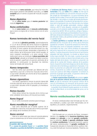 Anatomía clínica
290
Termina en un ramo auricular, que inerva los músculos
de la región posterior del pabellón auricular, y un ramo
occipital para el vientre occipital del músculo occipito-
frontal.
Ramo digástrico
Es un ramo motor para el vientre posterior del
músculo digástrico.
Ramo estilohioideo
Es un ramo motor para el músculo estilohioideo
que a veces se origina de un tronco común con el ramo
lingual.
Ramos terminales del nervio facial
A nivel de la glándula parótida, aproximadamente
a 1,5 cm de la entrada del nervio facial en la glándula
parótida, encontramos la bifurcación del tronco del ner-
vio facial. El ramo superior de esta bifurcación va a dar
origen a los ramos bucales, temporales y cigomáticos. El
ramo inferior de la bifurcación emite ramos bucales, el
ramo marginal mandibular y el ramo cervical. Entre
todos estos ramos se constituye el plexo parotídeo del
nervio facial, ubicado en el espacio de tejido conectivo
entre la porción superficial y la porción profunda de la
glándula. A continuación se describen los distintos
ramos terminales del nervio facial.
Ramos temporales
Son los ramos que ascienden por delante del arco
cigomático y que van a inervar los músculos de la mími-
ca que están ubicados por encima de la fisura palpebral
y del pabellón auricular.
Ramos cigomáticos
Los ramos cigomáticos inervan la porción lateral del
músculo orbicular de los ojos y los músculos de la mími-
ca que están ubicados entre el párpado y la hendidura
de la boca.
Ramos bucales
Estos ramos inervan los músculos de la mímica que
están alrededor de la boca y el músculo buccinador.
Ramo lingual
Es un ramo inconstante sensitivo para la lengua.
Ramo mandibular marginal
Este ramo desciende por el borde superior de la
mandíbula e inerva los músculos de la mímica que están
por debajo de la hendidura de la boca.
Ramo cervical
Éste es un ramo motor que inerva el músculo platisma
y que se anastomosa con el nervio cervical transverso.
Lesión del nervio facial
Las causas de parálisis facial son: la parálisis facial
idiopática o parálisis de Bell (60%), traumática (25%),
el síndrome de Ramsay Hunt o zóster ótico (7%), las
tumorales (7%), por otitis (4%) y otras. Se cree que la
parálisis facial idiopática es una neuritis vírica por virus her-
pes simple y/o citomegalovirus. La causa traumática de la
parálisis facial se debe a fracturas del hueso temporal, heri-
das faciales, o secundaria a cirugías del ángulo pontocere-
beloso y de parótida. El síndrome de Ramsay-Hunt se pro-
duce por la reactivación de una infección por virus herpes
zóster a nivel del ganglio geniculado: produce otalgia
intensa y 48-72 horas después, vesículas en el pabellón
auricular y en el conducto auditivo externo, parálisis facial
y compromiso del NC VIII con acúfenos, vértigo e hipoacu-
sia. Los tumores del ángulo pontocerebeloso (neurinomas),
del hueso temporal (colesteatomas, carcinomas epidermoi-
des del oído medio) y de parótida también pueden produ-
cir parálisis facial.
La lesión periférica o nuclear del NC VII produce
debilidad de los músculos de la mímica de la hemicara
ipsolateral completa. El paciente presenta la frente lisa,
dificultad para cerrar el párpado ipsolateral, con cierre
incompleto de éste. Esto último produce la separación
del punto lagrimal de la conjuntiva con la consiguiente
epífora. Cuando el paciente intenta forzar el cierre de los
párpados del lado afectado, la mirada se desvía hacia
arriba (signo de Bell). Por otro lado, cuando el paciente
intenta sonreír, la boca se desvía hacia el lado sano, y hay
babeo del lado de la lesión. Si la lesión es proximal a la
salida de la cuerda del tímpano además de la parálisis
facial, el paciente presentará disgeusia de los dos tercios
anteriores de la hemilengua ipsolateral e hiposialia. Si la
lesión es proximal a la salida del nervio del músculo del
estribo, el paciente va a referir audición dolorosa (algia-
cusia) por ausencia del reflejo estapedial. Si la lesión es
proximal al ganglio geniculado, el paciente referirá dis-
minución de la secreción lagrimal.
La lesión supranuclear (cortical) sólo produce pará-
lisis de la porción inferior de la hemicara contrala-
teral, ya que la inervación de la porción inferior de la
cara es contralateral y la inervación de la porción supe-
rior de la cara es bilateral y por lo tanto está conservada.
La parálisis facial bilateral puede aparecer en el síndro-
me de Guillain-Barré, en la enfermedad de Lyme y en la
sarcoidosis.
Nervio vestibulococlear (NC VIII)
El nervio vestibulococlear está formado por los ner-
vios vestibular y coclear, que están relacionados con el
equilibrio y la audición, respectivamente.
Nervio vestibular
Está formado por un conjunto de fibras, correspon-
dientes a los axones de las neuronas bipolares cuyo
cuerpo está ubicado a nivel del ganglio vestibular,
que se extienden desde el aparato vestibular hasta
los núcleos vestibulares, formando la porción superior
del nervio vestibulococlear. El ganglio vestibular [de
Scarpa] está ubicado en el piso del orificio auditivo inter-
no y está formado por neuronas bipolares. Presenta una
b027-03.qxd 7/12/11 2:37 PM Page 290
ERRNVPHGLFRVRUJ
 