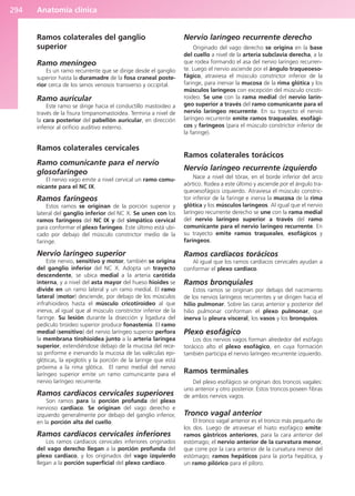 Anatomía clínica
294
Ramos colaterales del ganglio
superior
Ramo meníngeo
Es un ramo recurrente que se dirige desde el ganglio
superior hasta la duramadre de la fosa craneal poste-
rior cerca de los senos venosos transverso y occipital.
Ramo auricular
Este ramo se dirige hacia el conductillo mastoideo a
través de la fisura timpanomastoidea. Termina a nivel de
la cara posterior del pabellón auricular, en dirección
inferior al orificio auditivo externo.
Ramos colaterales cervicales
Ramo comunicante para el nervio
glosofaríngeo
El nervio vago emite a nivel cervical un ramo comu-
nicante para el NC IX.
Ramos faríngeos
Estos ramos se originan de la porción superior y
lateral del ganglio inferior del NC X. Se unen con los
ramos faríngeos del NC IX y del simpático cervical
para conformar el plexo faríngeo. Este último está ubi-
cado por debajo del músculo constrictor medio de la
faringe.
Nervio laríngeo superior
Este nervio, sensitivo y motor, también se origina
del ganglio inferior del NC X. Adopta un trayecto
descendente, se ubica medial a la arteria carótida
interna, y a nivel del asta mayor del hueso hioides se
divide en un ramo lateral y un ramo medial. El ramo
lateral (motor) desciende, por debajo de los músculos
infrahioideos hasta el músculo cricotiroideo al que
inerva, al igual que al músculo constrictor inferior de la
faringe. Su lesión durante la disección y ligadura del
pedículo tiroideo superior produce fonastenia. El ramo
medial (sensitivo) del nervio laríngeo superior perfora
la membrana tirohioidea junto a la arteria laríngea
superior, extendiéndose debajo de la mucosa del rece-
so piriforme e inervando la mucosa de las valéculas epi-
glóticas, la epiglotis y la porción de la laringe que está
próxima a la rima glótica. El ramo medial del nervio
laríngeo superior emite un ramo comunicante para el
nervio laríngeo recurrente.
Ramos cardíacos cervicales superiores
Son ramos para la porción profunda del plexo
nervioso cardíaco. Se originan del vago derecho e
izquierdo generalmente por debajo del ganglio inferior,
en la porción alta del cuello.
Ramos cardíacos cervicales inferiores
Los ramos cardíacos cervicales inferiores originados
del vago derecho llegan a la porción profunda del
plexo cardíaco, y los originados del vago izquierdo
llegan a la porción superficial del plexo cardíaco.
Nervio laríngeo recurrente derecho
Originado del vago derecho se origina en la base
del cuello a nivel de la arteria subclavia derecha, a la
que rodea formando el asa del nervio laríngeo recurren-
te. Luego el nervio asciende por el ángulo traqueoeso-
fágico, atraviesa el músculo constrictor inferior de la
faringe, para inervar la mucosa de la rima glótica y los
músculos laríngeos con excepción del músculo cricoti-
roideo. Se une con la rama medial del nervio larín-
geo superior a través del ramo comunicante para el
nervio laríngeo recurrente. En su trayecto el nervio
laríngeo recurrente emite ramos traqueales, esofági-
cos y faríngeos (para el músculo constrictor inferior de
la faringe).
Ramos colaterales torácicos
Nervio laríngeo recurrente izquierdo
Nace a nivel del tórax, en el borde inferior del arco
aórtico. Rodea a este último y asciende por el ángulo tra-
queoesofágico izquierdo. Atraviesa el músculo constric-
tor inferior de la faringe e inerva la mucosa de la rima
glótica y los músculos laríngeos. Al igual que el nervio
laríngeo recurrente derecho se une con la rama medial
del nervio laríngeo superior a través del ramo
comunicante para el nervio laríngeo recurrente. En
su trayecto emite ramos traqueales, esofágicos y
faríngeos.
Ramos cardíacos torácicos
Al igual que los ramos cardíacos cervicales ayudan a
conformar el plexo cardíaco.
Ramos bronquiales
Estos ramos se originan por debajo del nacimiento
de los nervios laríngeos recurrentes y se dirigen hacia el
hilio pulmonar. Sobre las caras anterior y posterior del
hilio pulmonar conforman el plexo pulmonar, que
inerva la pleura visceral, los vasos y los bronquios.
Plexo esofágico
Los dos nervios vagos forman alrededor del esófago
torácico alto el plexo esofágico, en cuya formación
también participa el nervio laríngeo recurrente izquierdo.
Ramos terminales
Del plexo esofágico se originan dos troncos vagales:
uno anterior y otro posterior. Estos troncos poseen fibras
de ambos nervios vagos.
Tronco vagal anterior
El tronco vagal anterior es el tronco más pequeño de
los dos. Luego de atravesar el hiato esofágico emite:
ramos gástricos anteriores, para la cara anterior del
estómago; el nervio anterior de la curvatura menor,
que corre por la cara anterior de la curvatura menor del
estómago; ramos hepáticos para la porta hepática, y
un ramo pilórico para el píloro.
b027-03.qxd 7/12/11 2:37 PM Page 294
ERRNVPHGLFRVRUJ
 