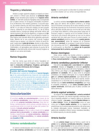 Anatomía Clínica Pró.pdf