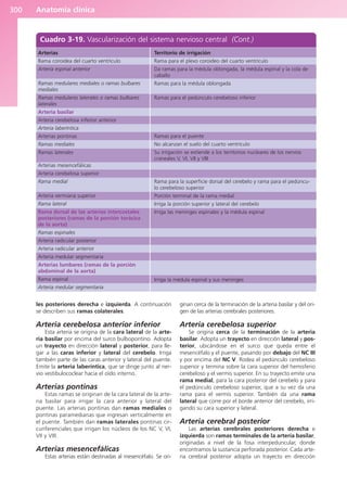 Anatomía Clínica Pró.pdf