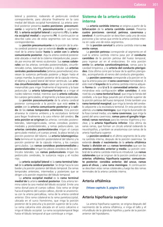 Anatomía Clínica Pró.pdf