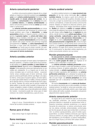 Anatomía Clínica Pró.pdf