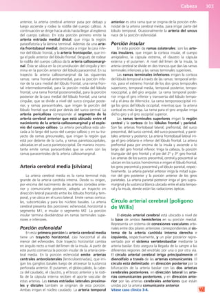 Anatomía Clínica Pró.pdf