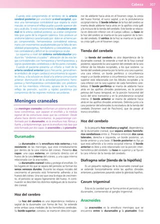 Anatomía Clínica Pró.pdf