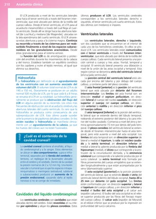Anatomía Clínica Pró.pdf